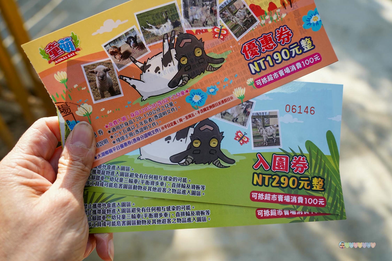 苗栗|童萌農場》苗栗大湖最新景點!全新親子農場,十種以上小動物,酷你酷你豬、斑點駱馬,罕見可愛動物,牧草無限拿。 - 第5張圖 Dsc09810