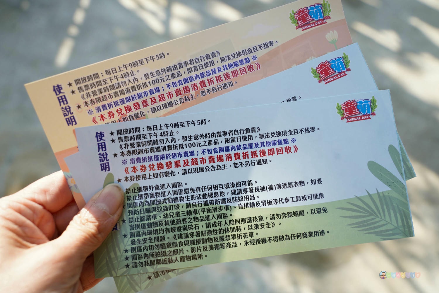 苗栗|童萌農場》苗栗大湖最新景點!全新親子農場,十種以上小動物,酷你酷你豬、斑點駱馬,罕見可愛動物,牧草無限拿。 - 第6張圖 Dsc09811