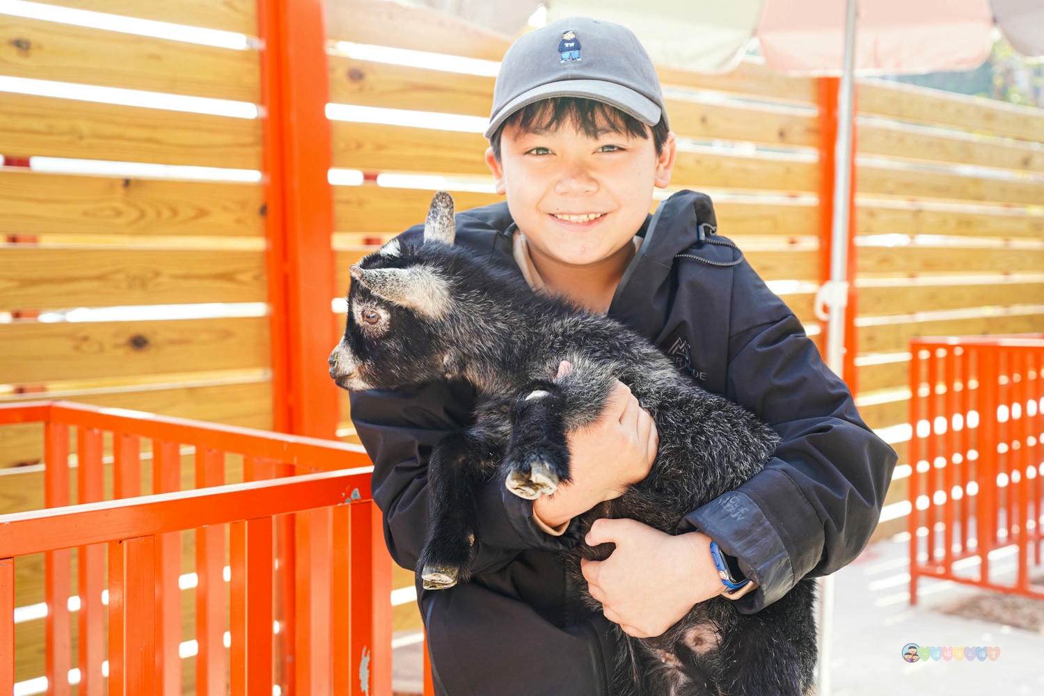 苗栗|童萌農場》苗栗大湖最新景點!全新親子農場,十種以上小動物,酷你酷你豬、斑點駱馬,罕見可愛動物,牧草無限拿。 - 第23張圖 童萌農場 (15)