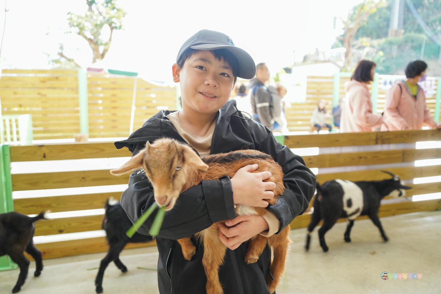 苗栗|童萌農場》苗栗大湖最新景點!全新親子農場,十種以上小動物,酷你酷你豬、斑點駱馬,罕見可愛動物,牧草無限拿。 - 第42張圖 童萌農場 (42)