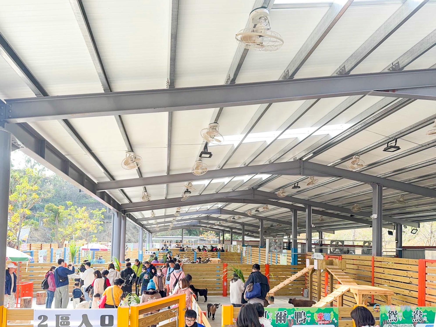 苗栗|童萌農場》苗栗大湖最新景點!全新親子農場,十種以上小動物,酷你酷你豬、斑點駱馬,罕見可愛動物,牧草無限拿。 - 第11張圖 童萌農場 (91)