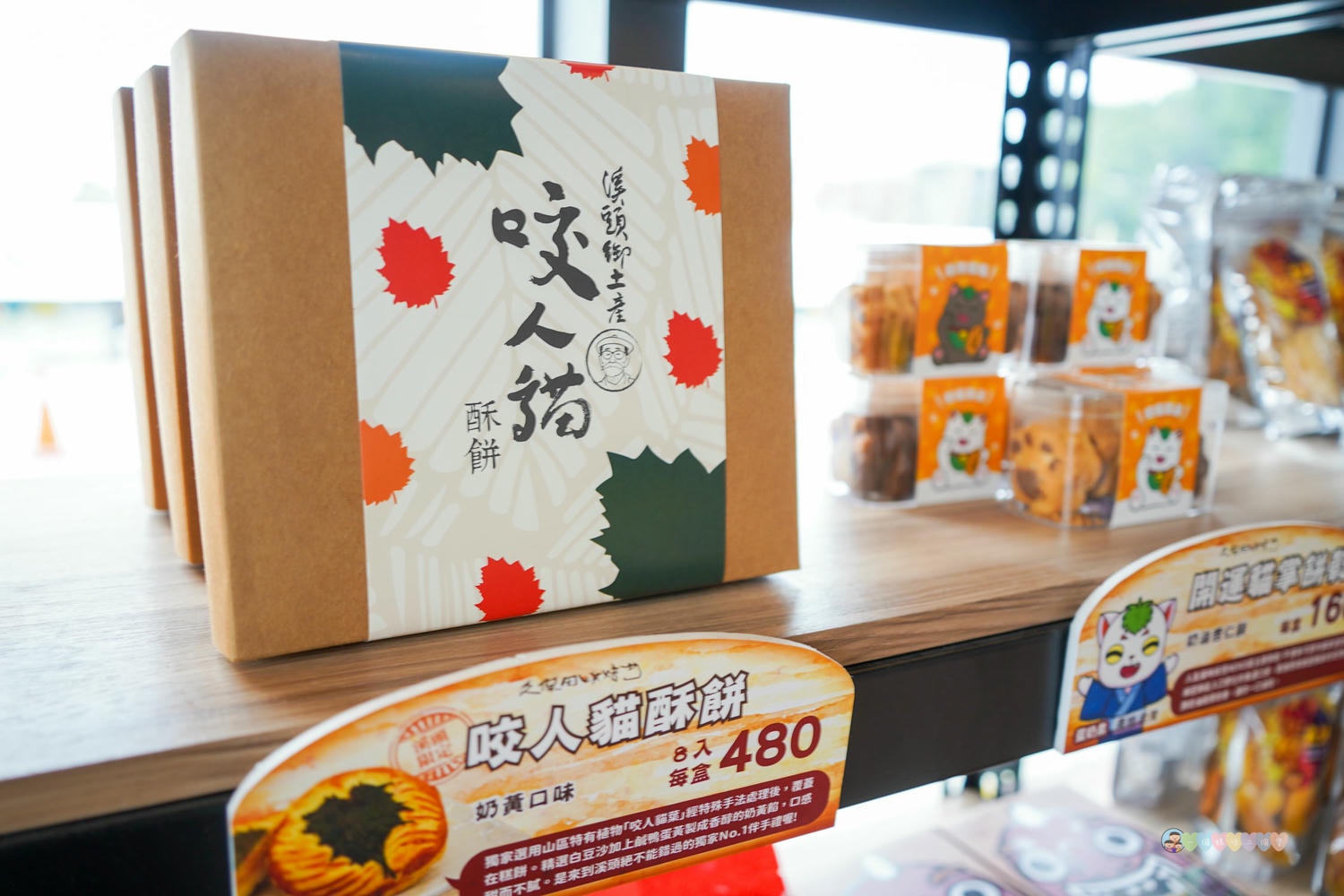 南投|鹿芝谷生態景觀園區》南投最新景點!門票全額折抵,迷人山景與可愛動物區,瓦來黑鼻羊、水豚君、玩沙區、多肉植物體驗區。 - 第61張圖 鹿芝谷生態景觀園區 (54)