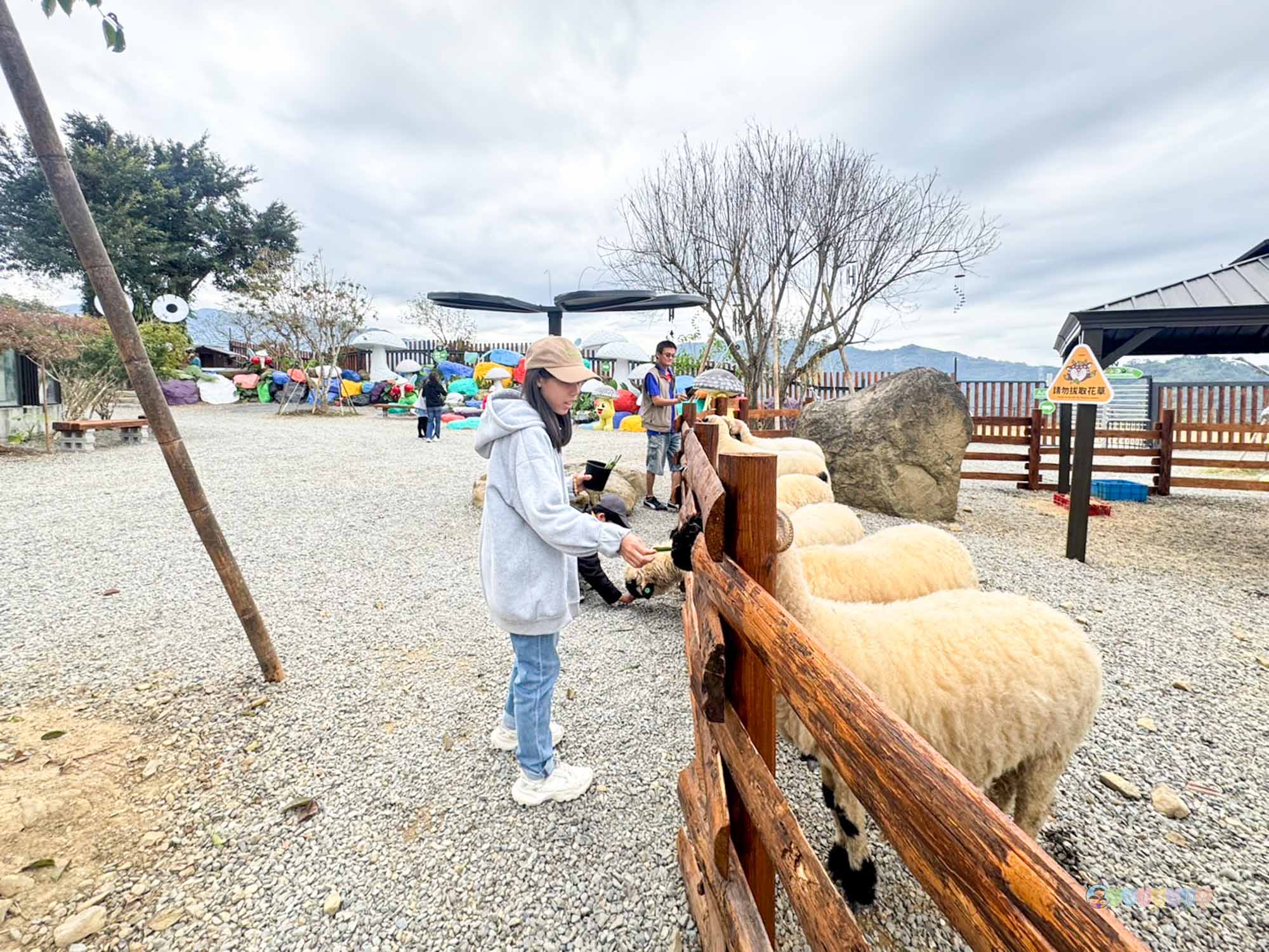 南投|鹿芝谷生態景觀園區》南投最新景點!門票全額折抵,迷人山景與可愛動物區,瓦來黑鼻羊、水豚君、玩沙區、多肉植物體驗區。 - 第21張圖 鹿芝谷生態景觀園區 (67)