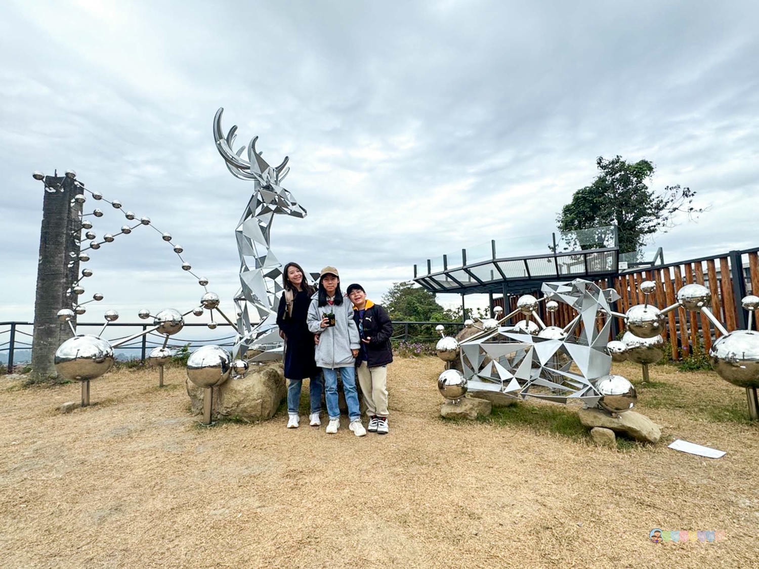 南投|鹿芝谷生態景觀園區》南投最新景點!門票全額折抵,迷人山景與可愛動物區,瓦來黑鼻羊、水豚君、玩沙區、多肉植物體驗區。 - 第40張圖 鹿芝谷生態景觀園區 (72)