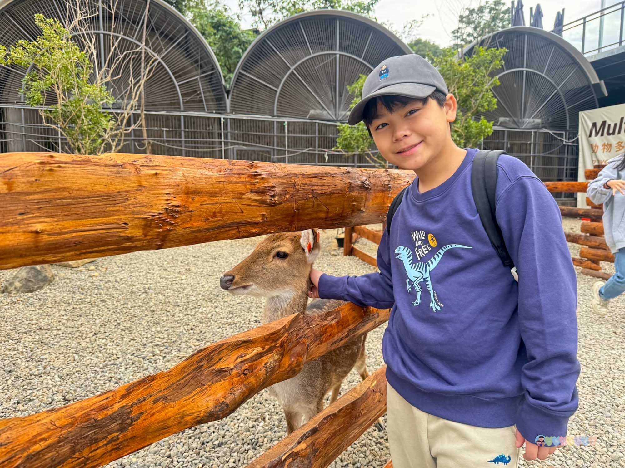 南投|鹿芝谷生態景觀園區》南投最新景點!門票全額折抵,迷人山景與可愛動物區,瓦來黑鼻羊、水豚君、玩沙區、多肉植物體驗區。 - 第86張圖 鹿芝谷生態景觀園區 (96)