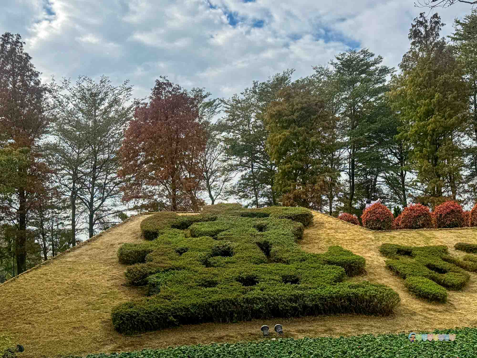 成美文化園 (169)