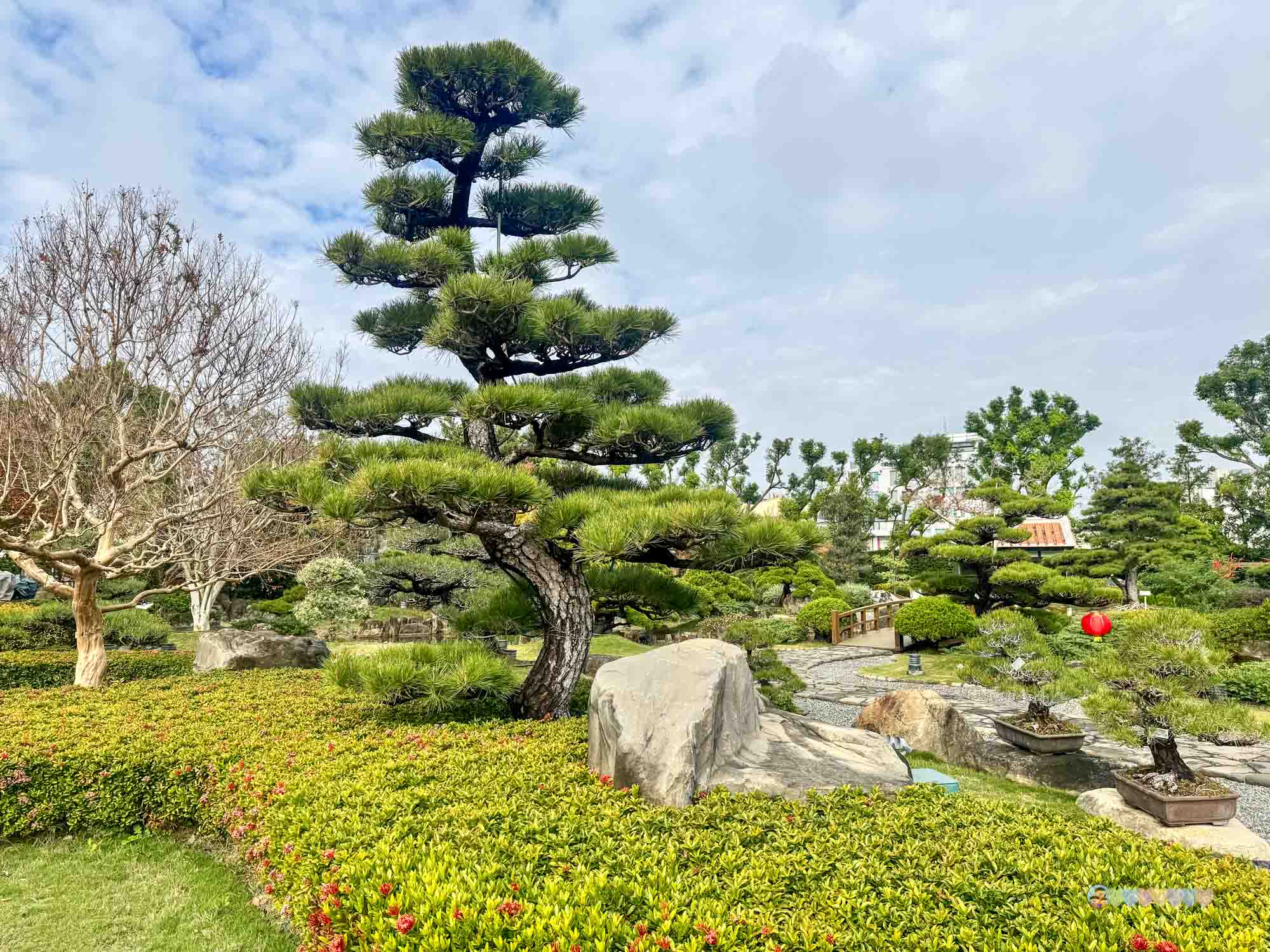 成美文化園 (185)