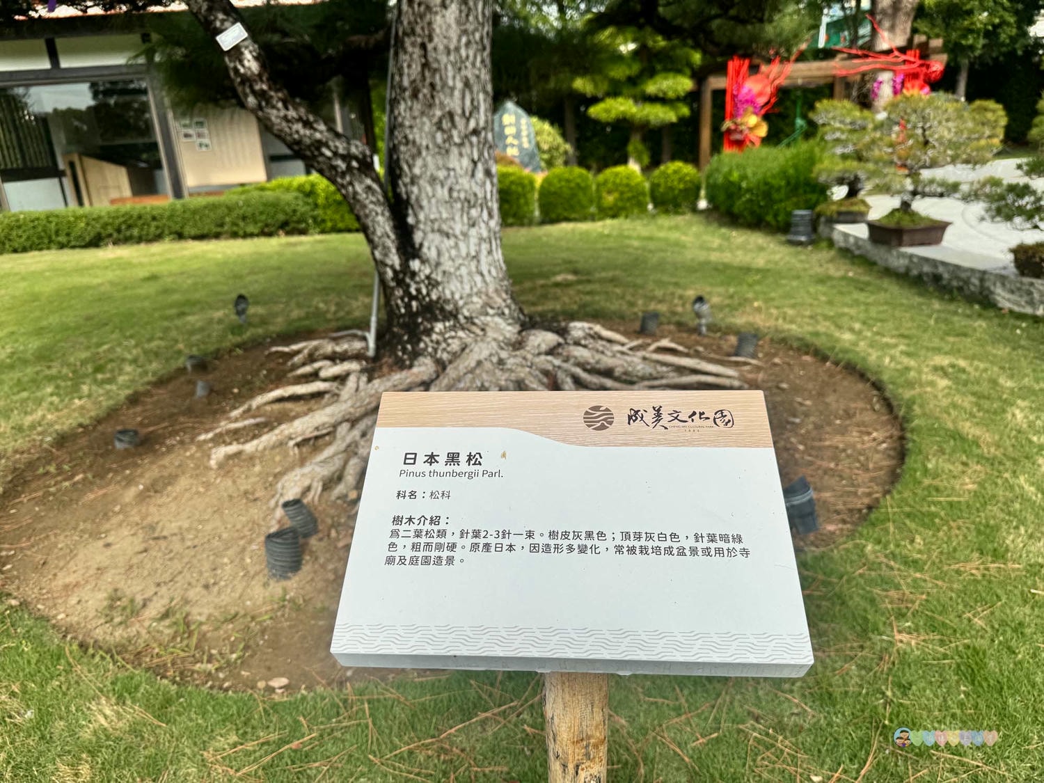 成美文化園 (189)