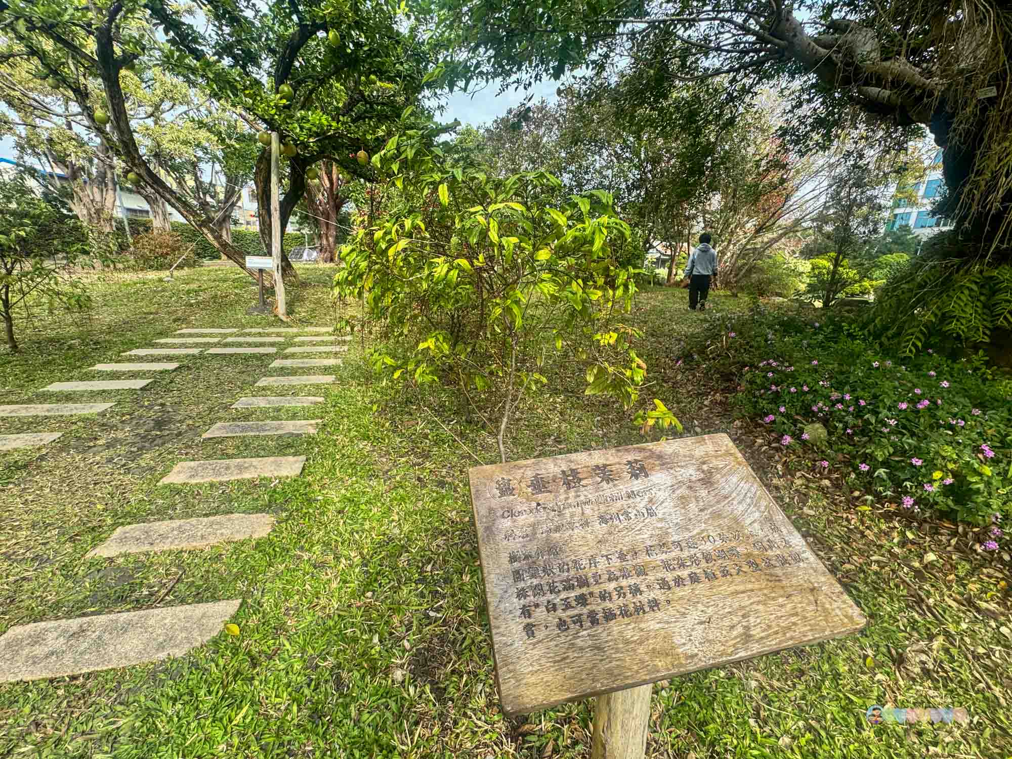 成美文化園 (200)