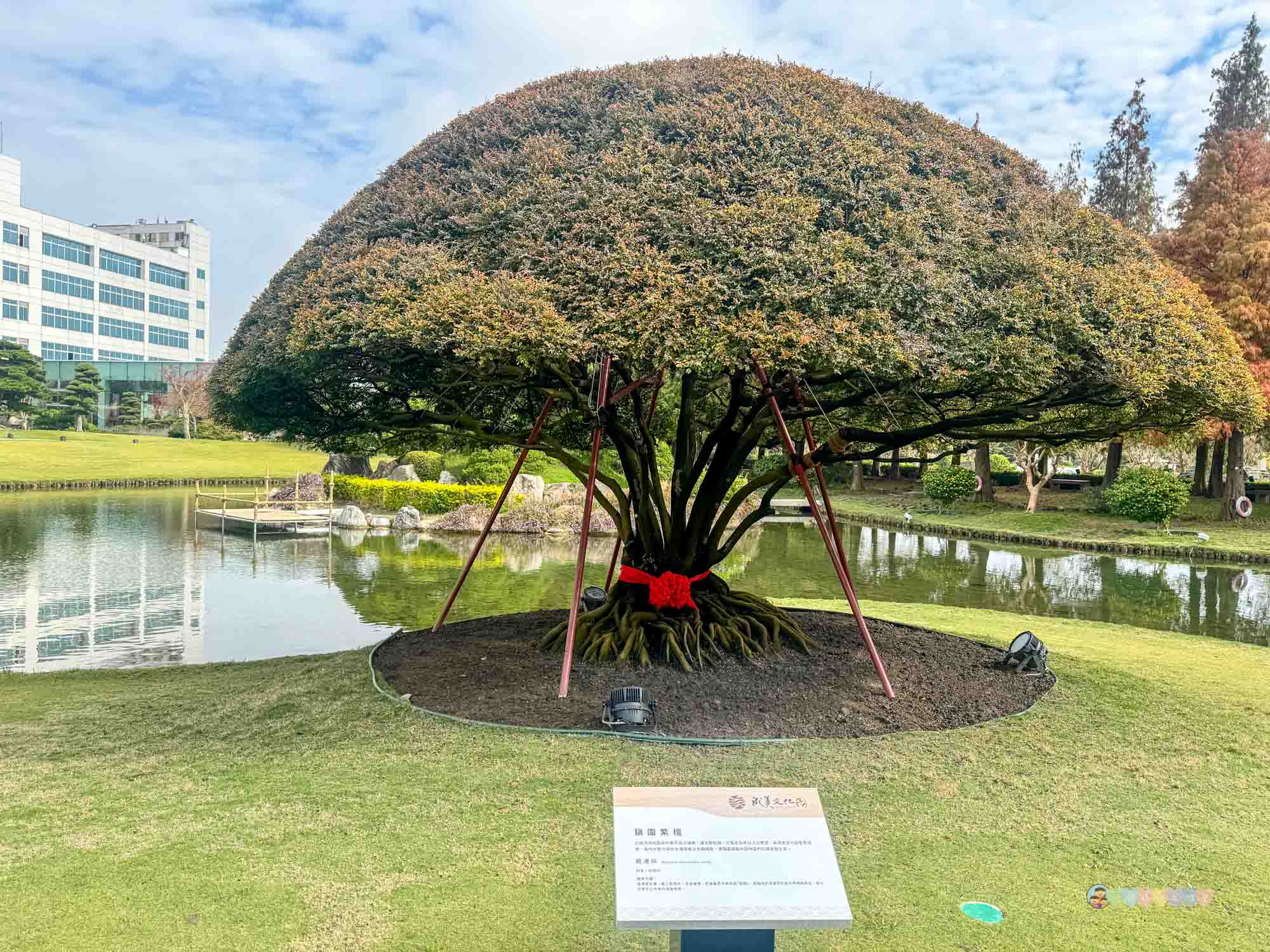 成美文化園 (204)