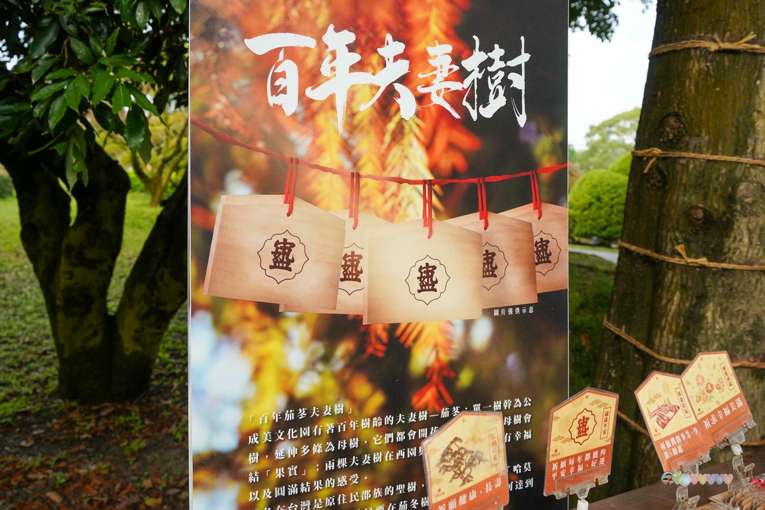 成美文化園 (21)