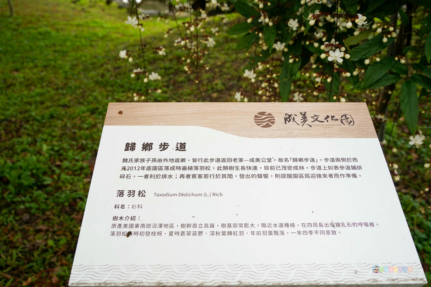 成美文化園 (24)