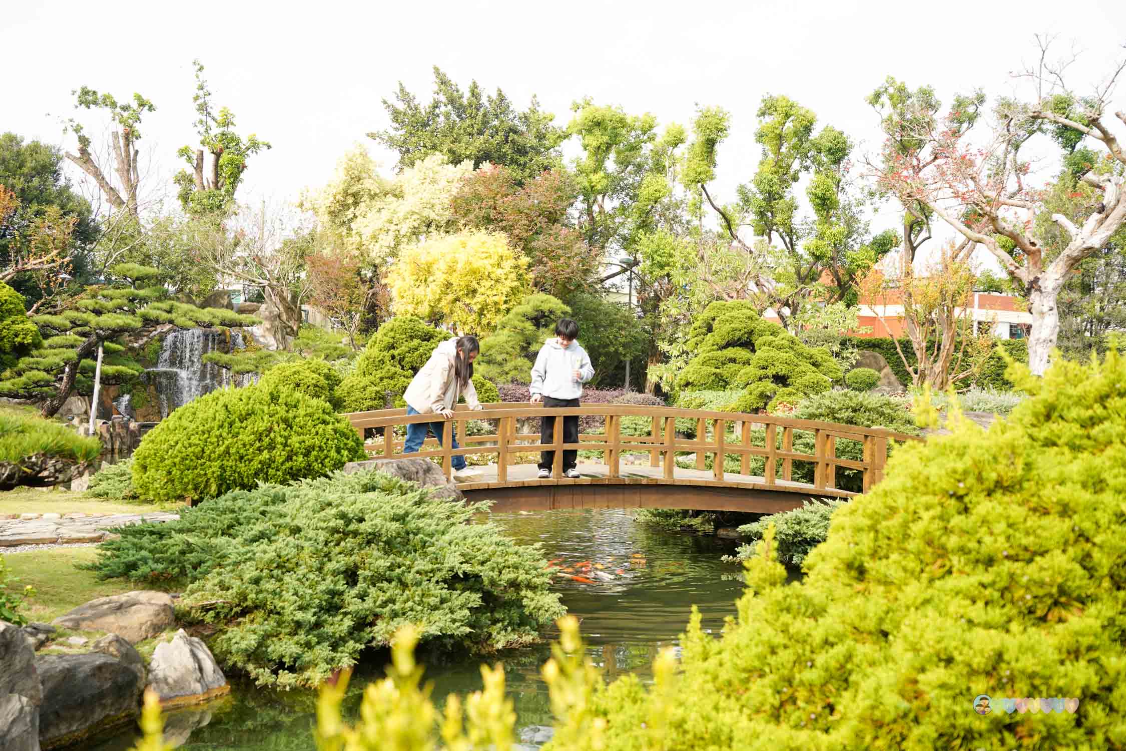 成美文化園 (27)