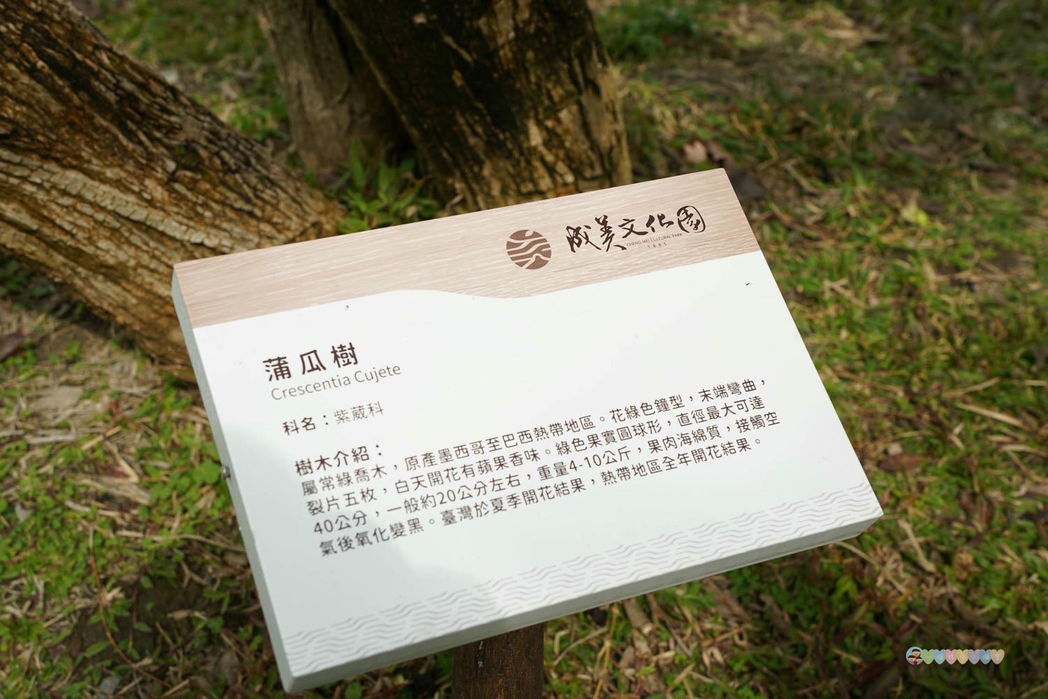 成美文化園 (39)