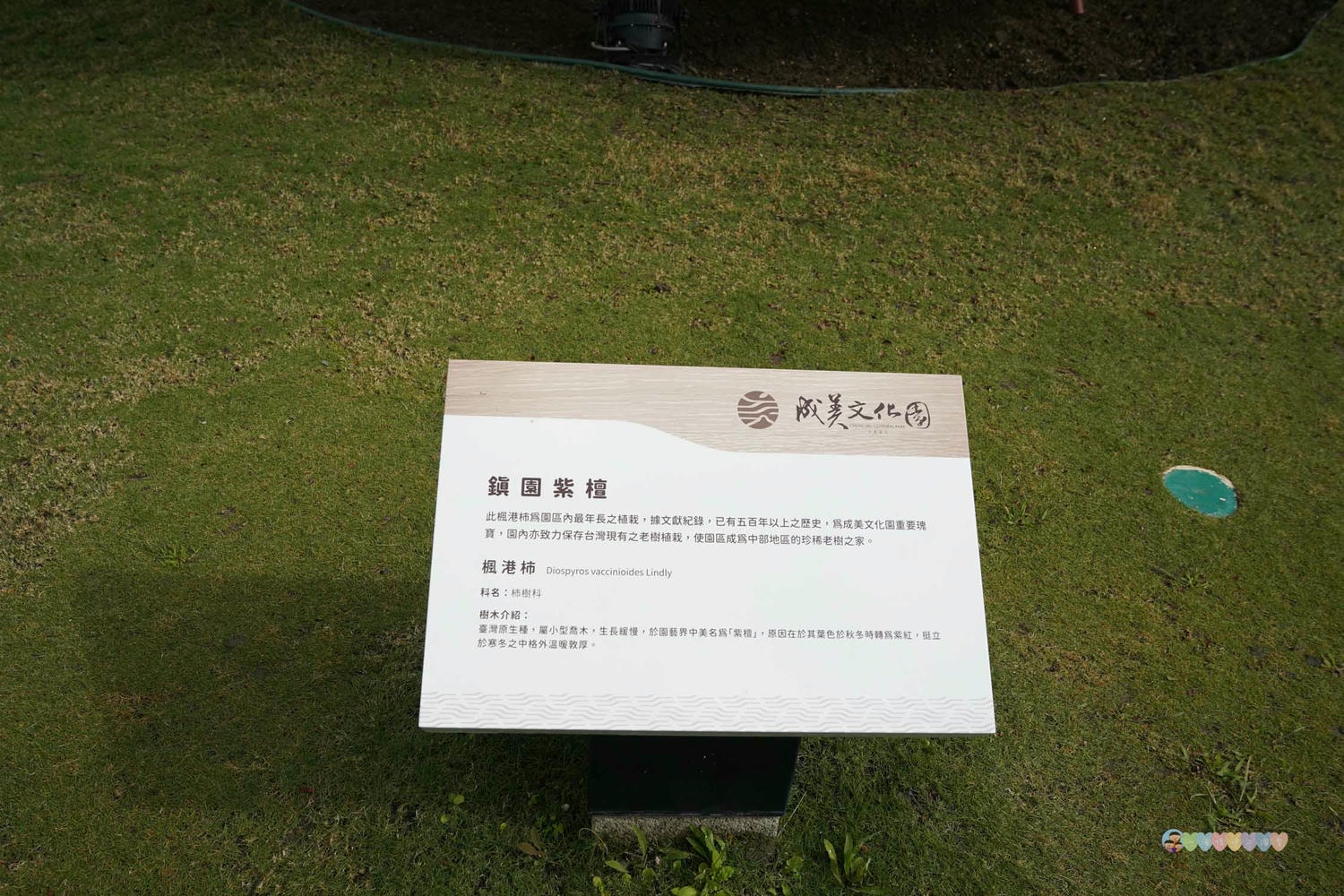 成美文化園 (42)