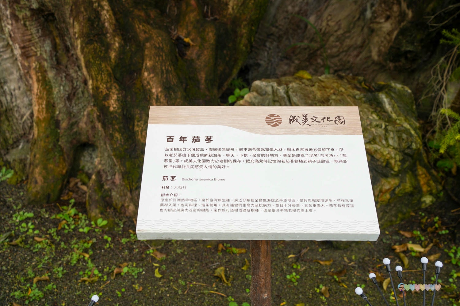成美文化園 (6)