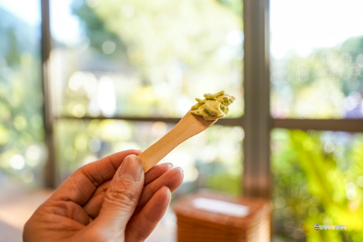 南投|貝拉義大利冰淇淋店 Bella Gelateria》南投秘境!隱身於花園內,正統義大利手工冰淇淋,大推貝禮斯牛奶糖口味。 - 第31張圖 貝拉義大利冰淇淋店 餐點 (12)