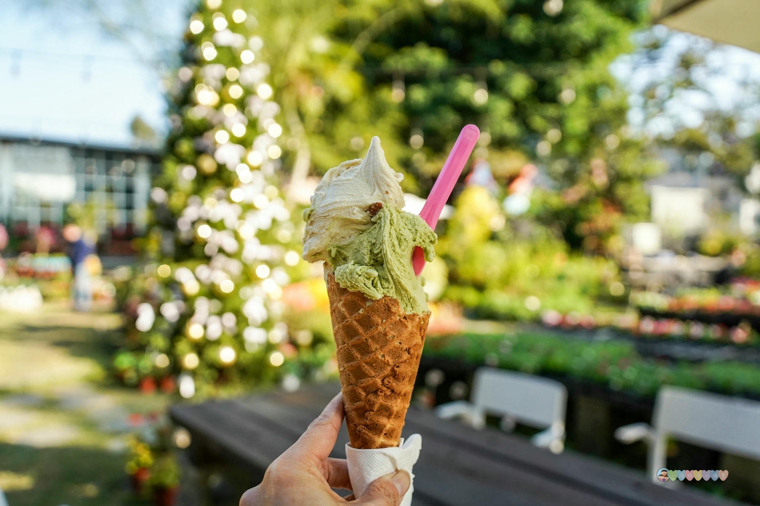 南投|貝拉義大利冰淇淋店 Bella Gelateria》南投秘境!隱身於花園內,正統義大利手工冰淇淋,大推貝禮斯牛奶糖口味。 - 第42張圖 貝拉義大利冰淇淋店 餐點 (28)