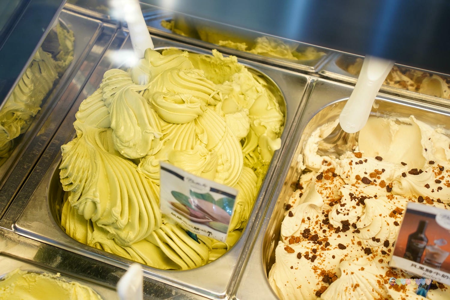 南投|貝拉義大利冰淇淋店 Bella Gelateria》南投秘境!隱身於花園內,正統義大利手工冰淇淋,大推貝禮斯牛奶糖口味。 - 第30張圖 貝拉義大利冰淇淋店 餐點 (6)