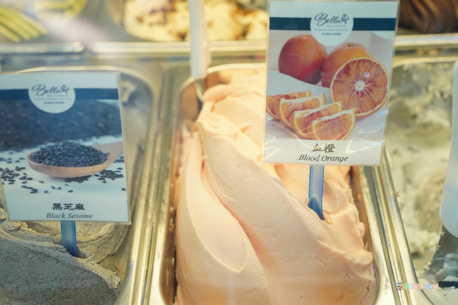 南投|貝拉義大利冰淇淋店 Bella Gelateria》南投秘境!隱身於花園內,正統義大利手工冰淇淋,大推貝禮斯牛奶糖口味。 - 第35張圖 貝拉義大利冰淇淋店 餐點 (9)
