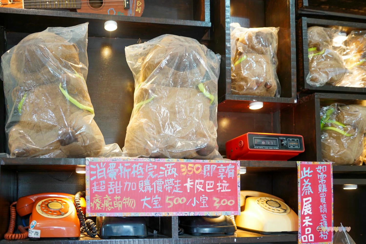 苗栗|哈比丘茶樹森林》苗栗銅鑼景點,寵物友善!美拍空中鞦韆、超萌水豚、笑笑羊,苗栗秘境哈比屋。 - 第48張圖