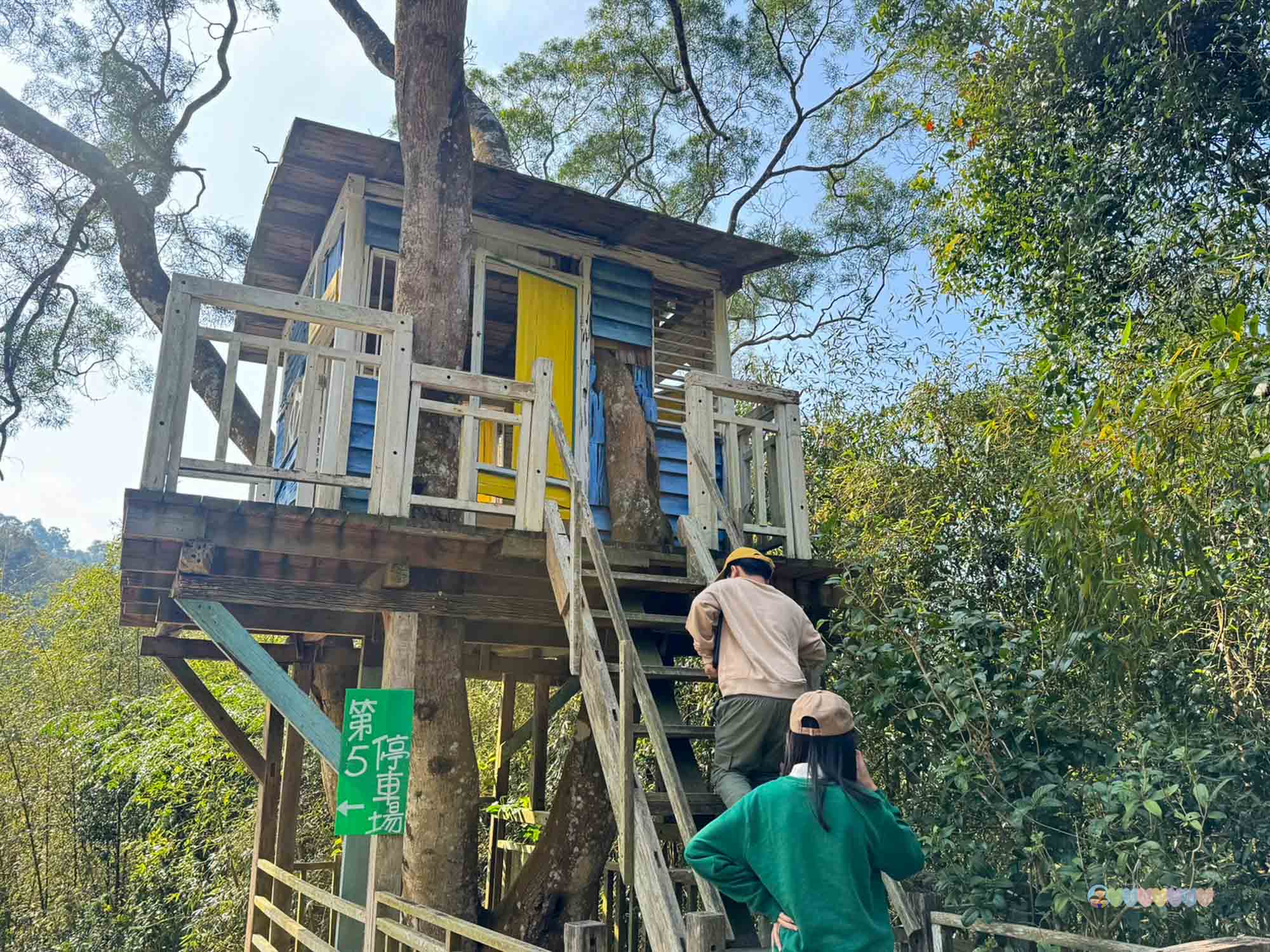 苗栗|哈比丘茶樹森林》苗栗銅鑼景點,寵物友善!美拍空中鞦韆、超萌水豚、笑笑羊,苗栗秘境哈比屋。 - 第38張圖
