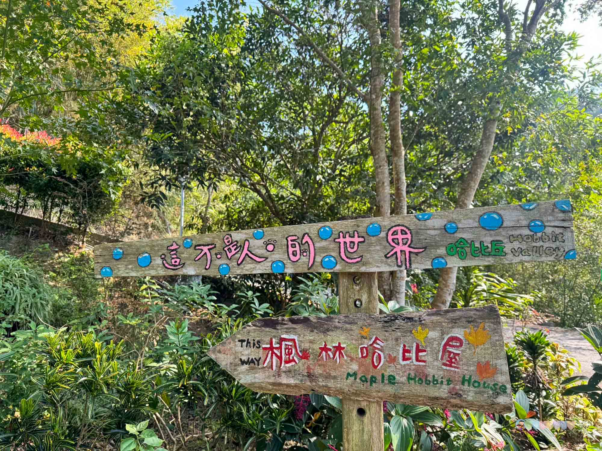 苗栗|哈比丘茶樹森林》苗栗銅鑼景點,寵物友善!美拍空中鞦韆、超萌水豚、笑笑羊,苗栗秘境哈比屋。 - 第9張圖
