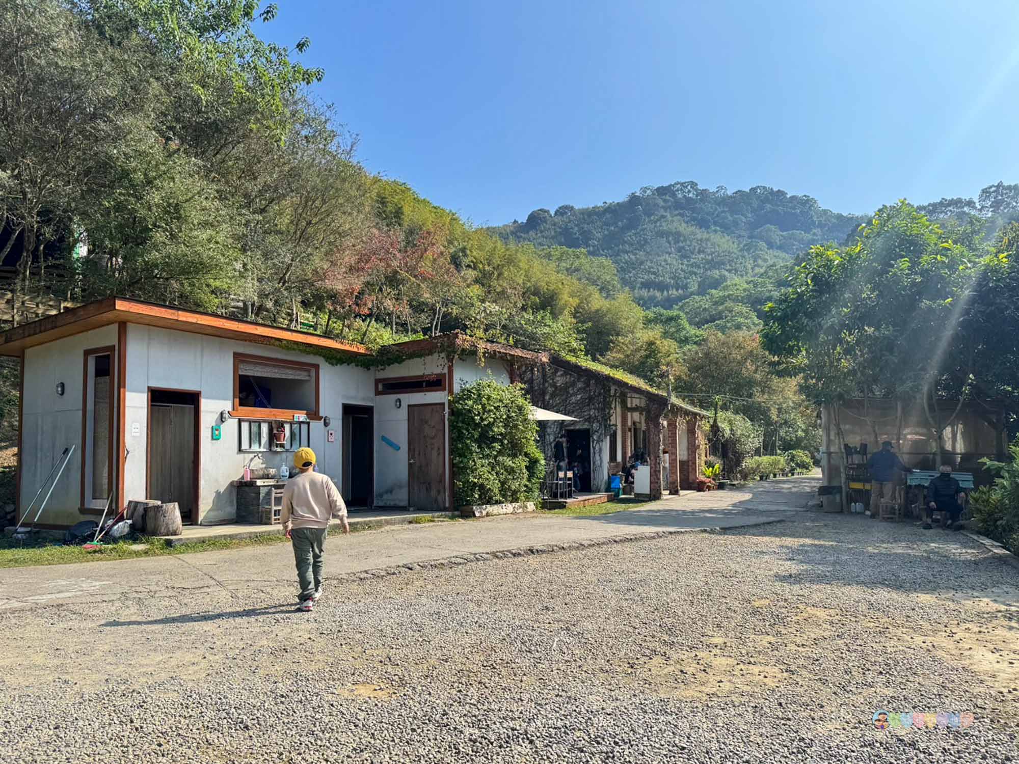 苗栗|哈比丘茶樹森林》苗栗銅鑼景點,寵物友善!美拍空中鞦韆、超萌水豚、笑笑羊,苗栗秘境哈比屋。 - 第42張圖