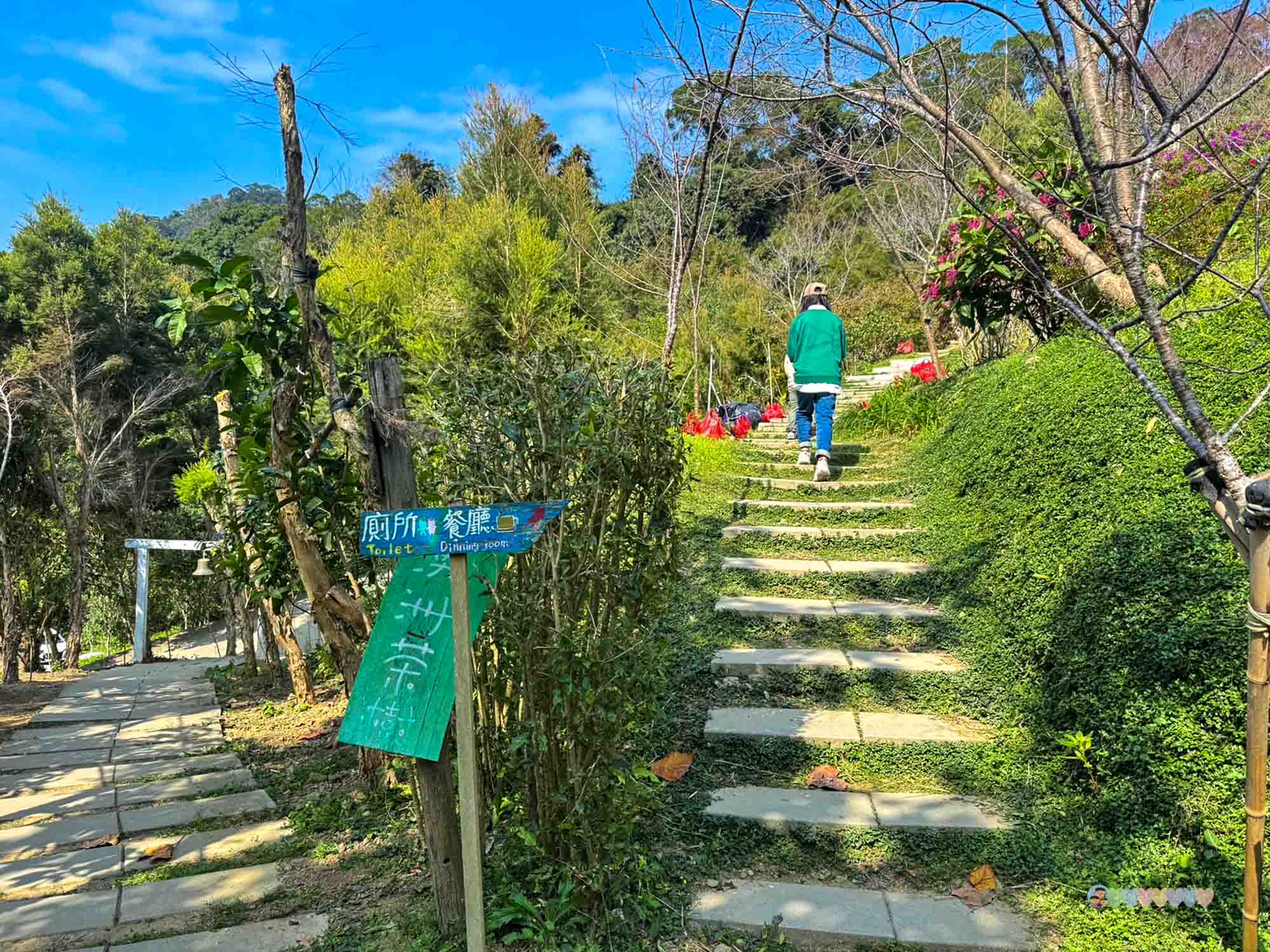 苗栗|哈比丘茶樹森林》苗栗銅鑼景點,寵物友善!美拍空中鞦韆、超萌水豚、笑笑羊,苗栗秘境哈比屋。 - 第2張圖