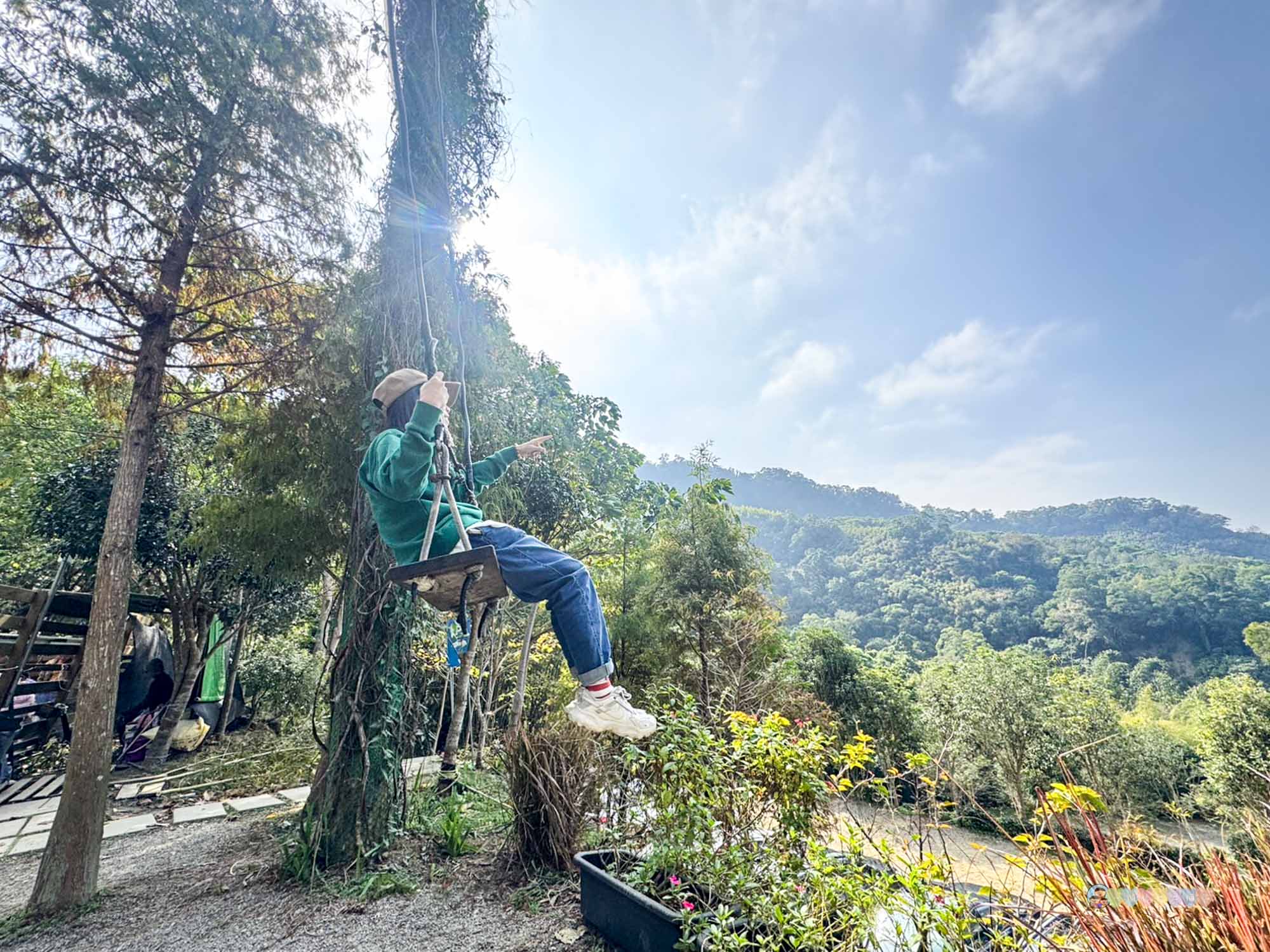 苗栗|哈比丘茶樹森林》苗栗銅鑼景點,寵物友善!美拍空中鞦韆、超萌水豚、笑笑羊,苗栗秘境哈比屋。 - 第6張圖