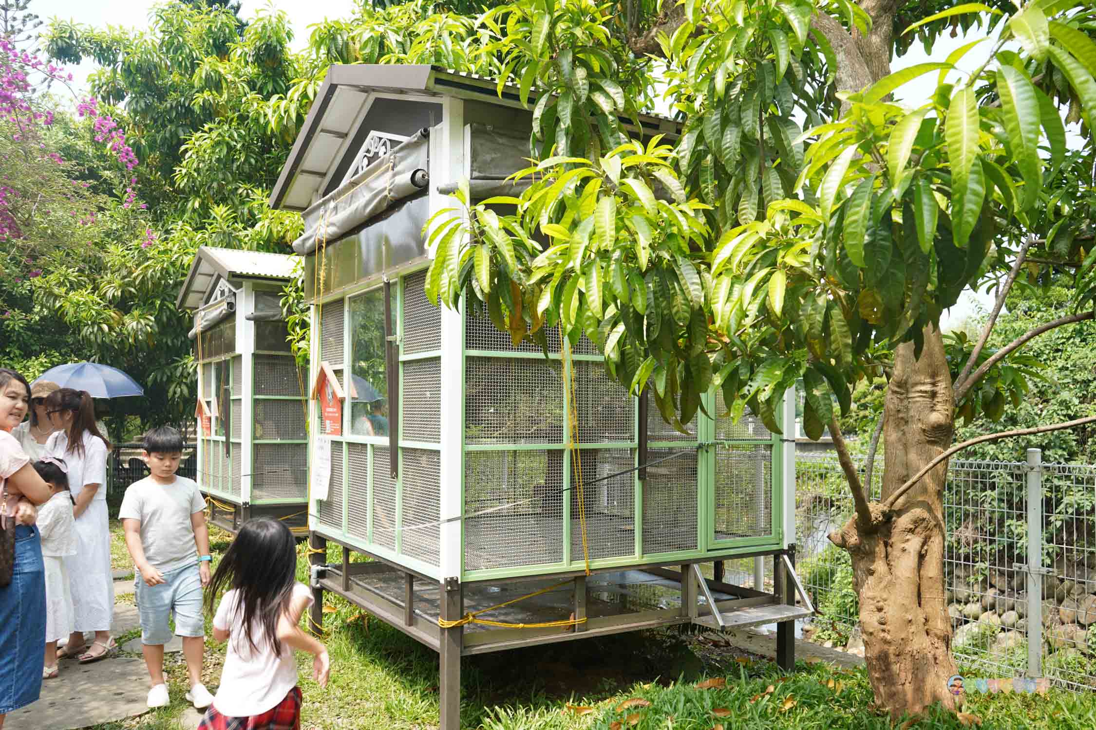 桃園|蘇家莊園》2025門票資訊,萬坪莊園,南法建築風格,小型動物園,各種稀有可愛動物與龍貓巴士。 - 第19張圖