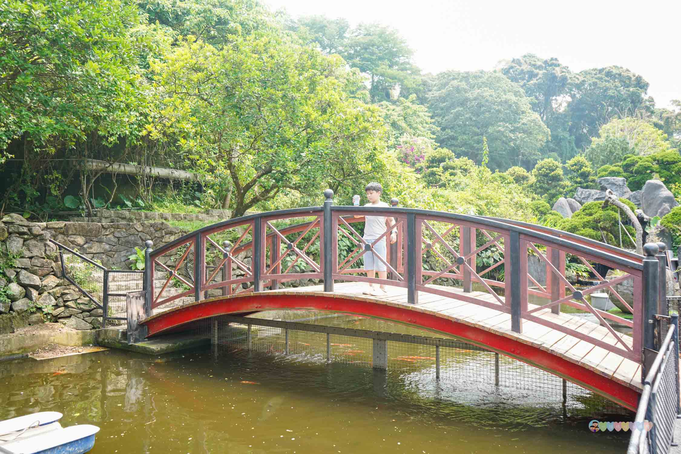 桃園|蘇家莊園》2025門票資訊,萬坪莊園,南法建築風格,小型動物園,各種稀有可愛動物與龍貓巴士。 - 第7張圖