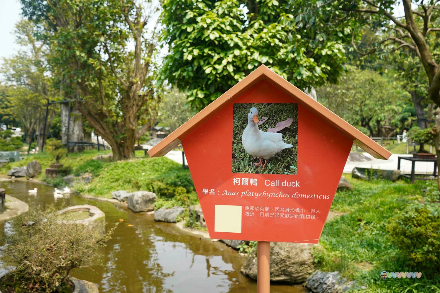 桃園|蘇家莊園》2025門票資訊,萬坪莊園,南法建築風格,小型動物園,各種稀有可愛動物與龍貓巴士。 - 第28張圖