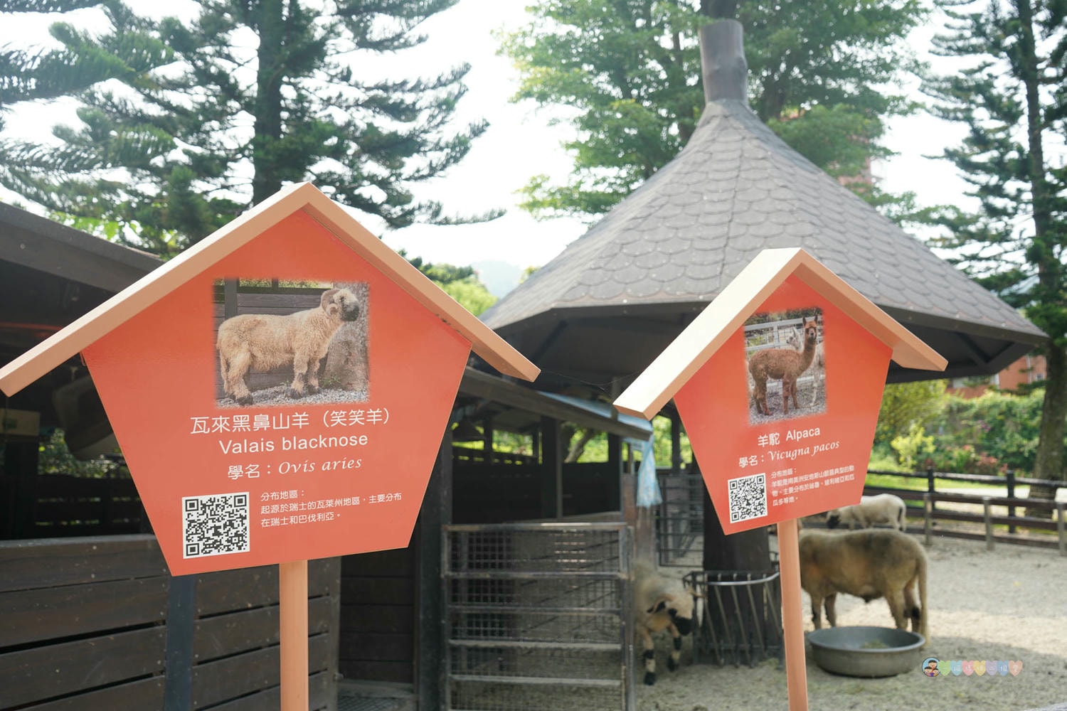 桃園|蘇家莊園》2025門票資訊,萬坪莊園,南法建築風格,小型動物園,各種稀有可愛動物與龍貓巴士。 - 第15張圖
