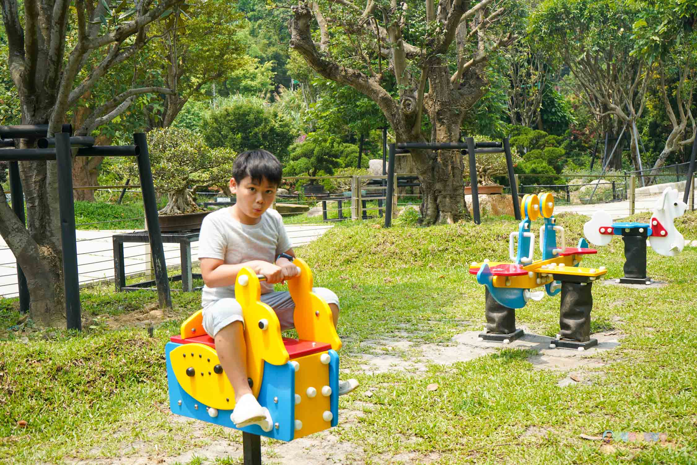 桃園|蘇家莊園》2025門票資訊,萬坪莊園,南法建築風格,小型動物園,各種稀有可愛動物與龍貓巴士。 - 第57張圖