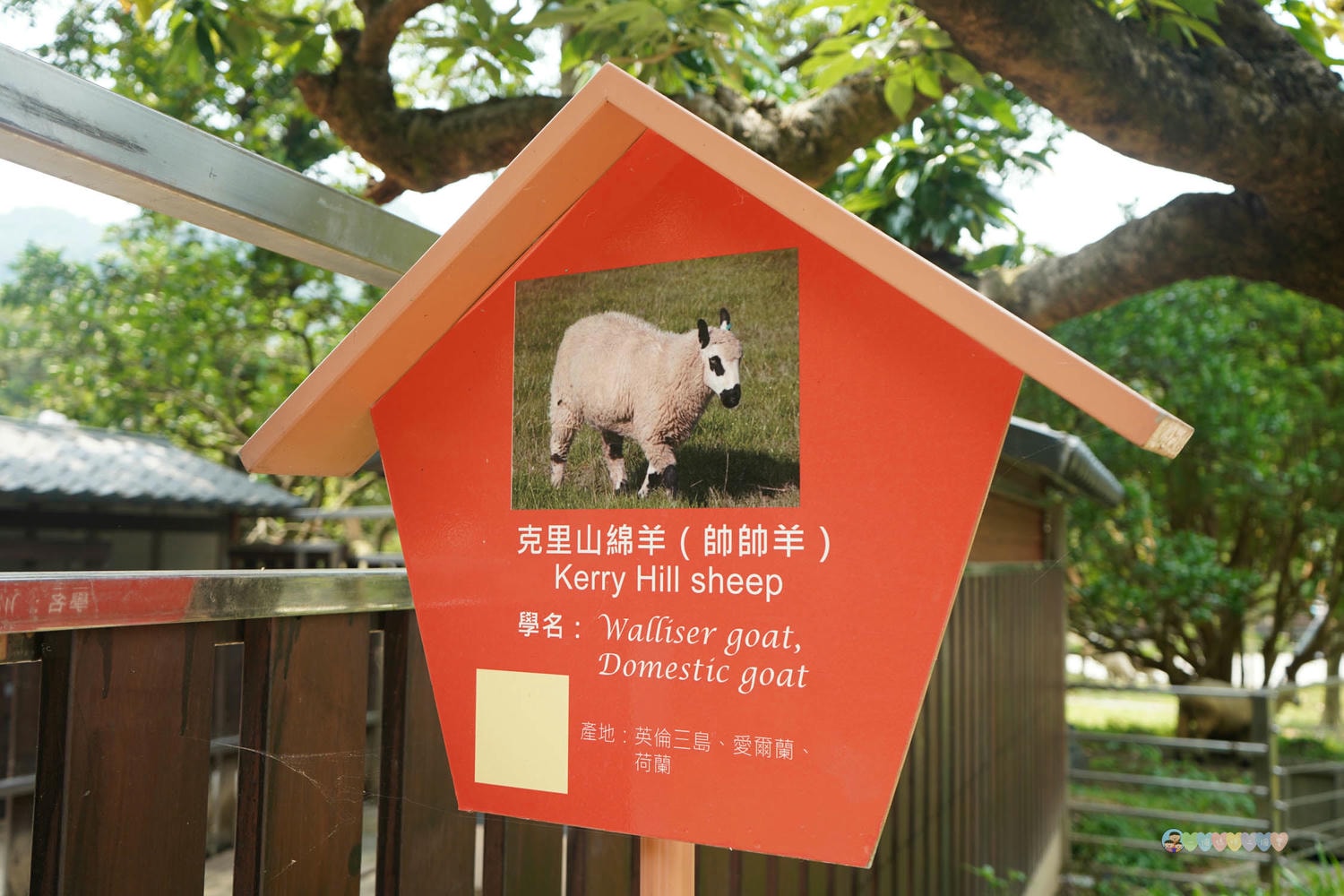 桃園|蘇家莊園》2025門票資訊,萬坪莊園,南法建築風格,小型動物園,各種稀有可愛動物與龍貓巴士。 - 第40張圖