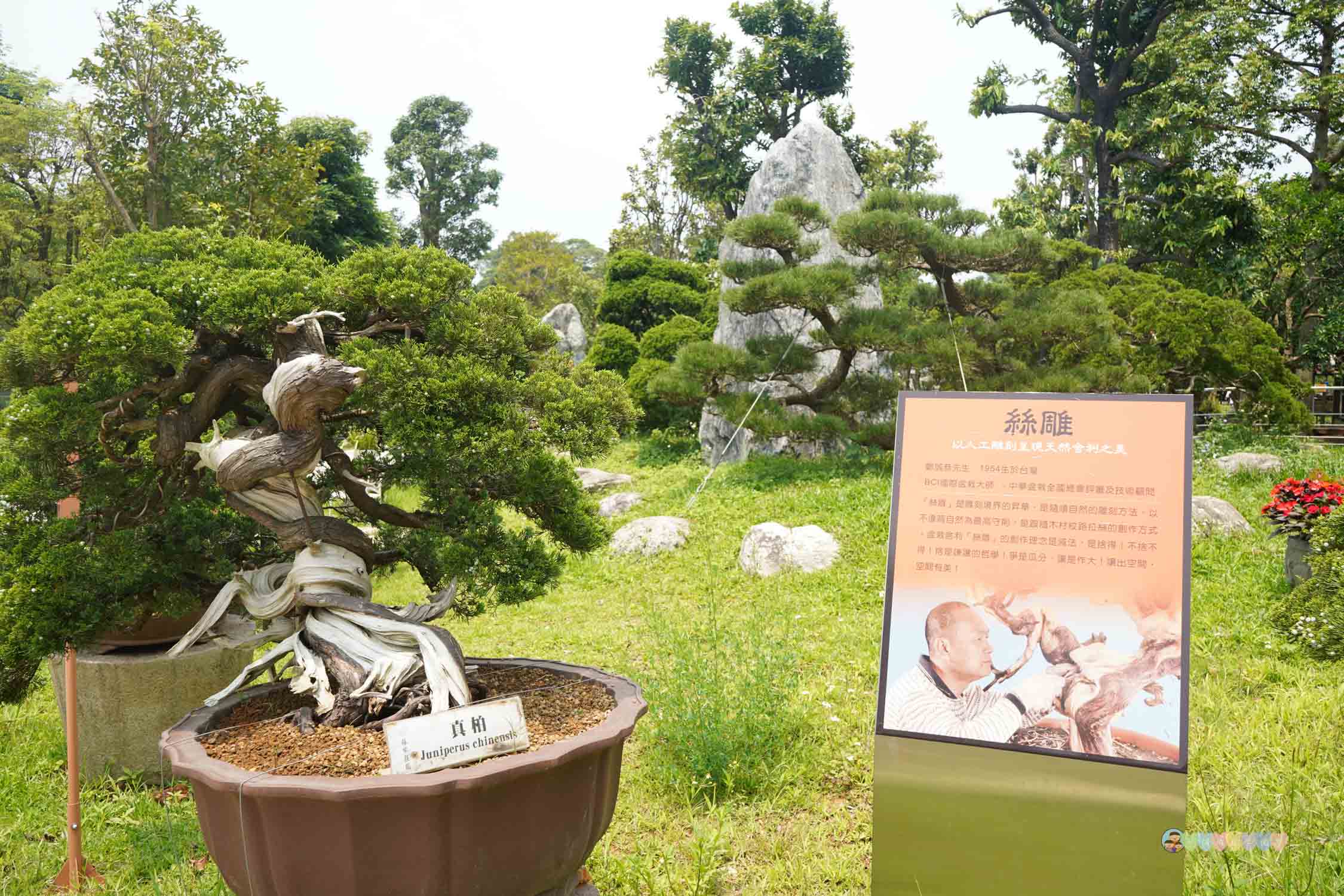 桃園|蘇家莊園》2025門票資訊,萬坪莊園,南法建築風格,小型動物園,各種稀有可愛動物與龍貓巴士。 - 第5張圖