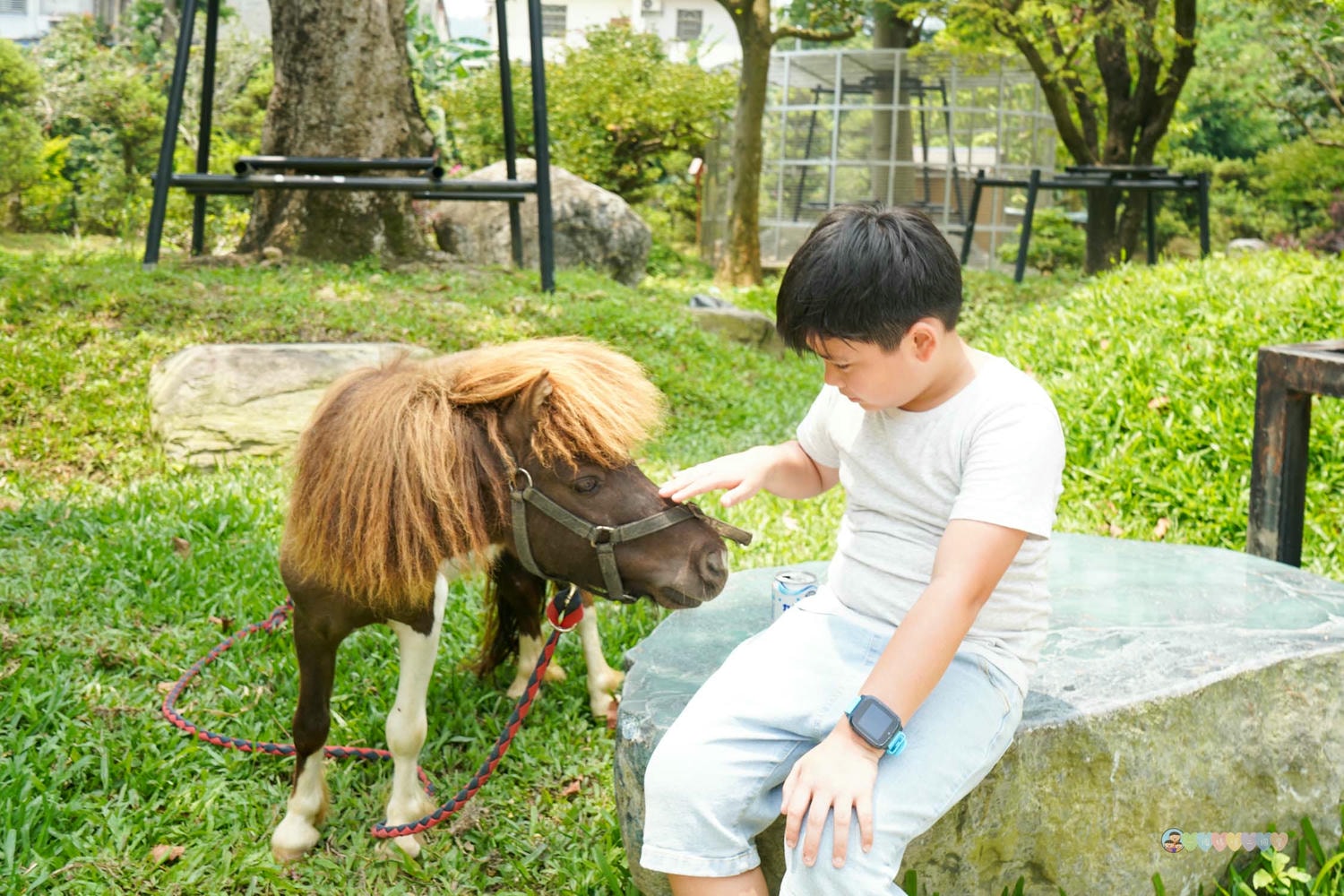 桃園|蘇家莊園》2025門票資訊,萬坪莊園,南法建築風格,小型動物園,各種稀有可愛動物與龍貓巴士。 - 第34張圖