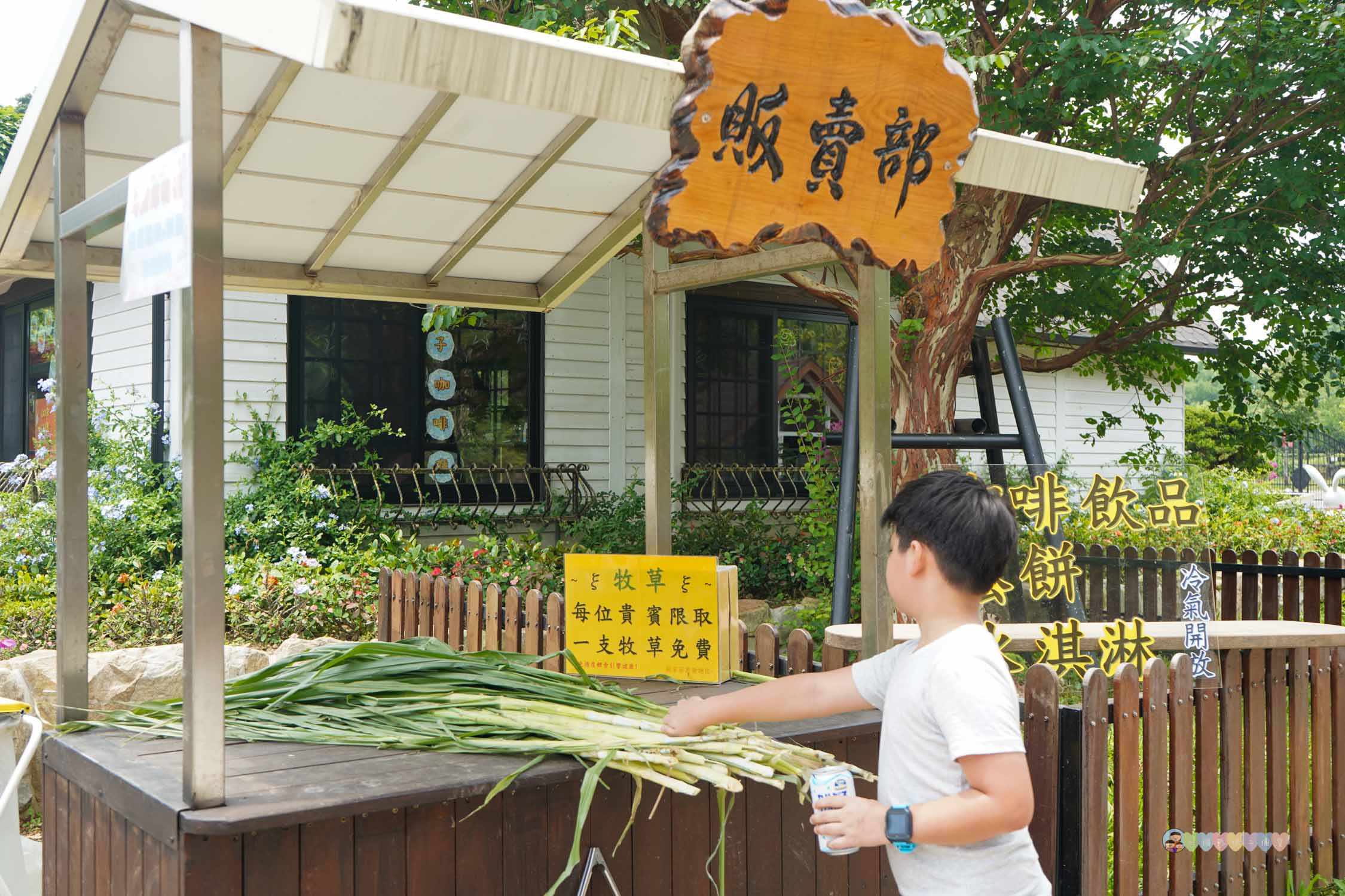 桃園|蘇家莊園》2025門票資訊,萬坪莊園,南法建築風格,小型動物園,各種稀有可愛動物與龍貓巴士。 - 第45張圖