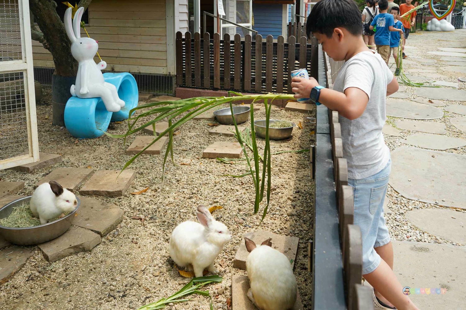 桃園|蘇家莊園》2025門票資訊,萬坪莊園,南法建築風格,小型動物園,各種稀有可愛動物與龍貓巴士。 - 第47張圖