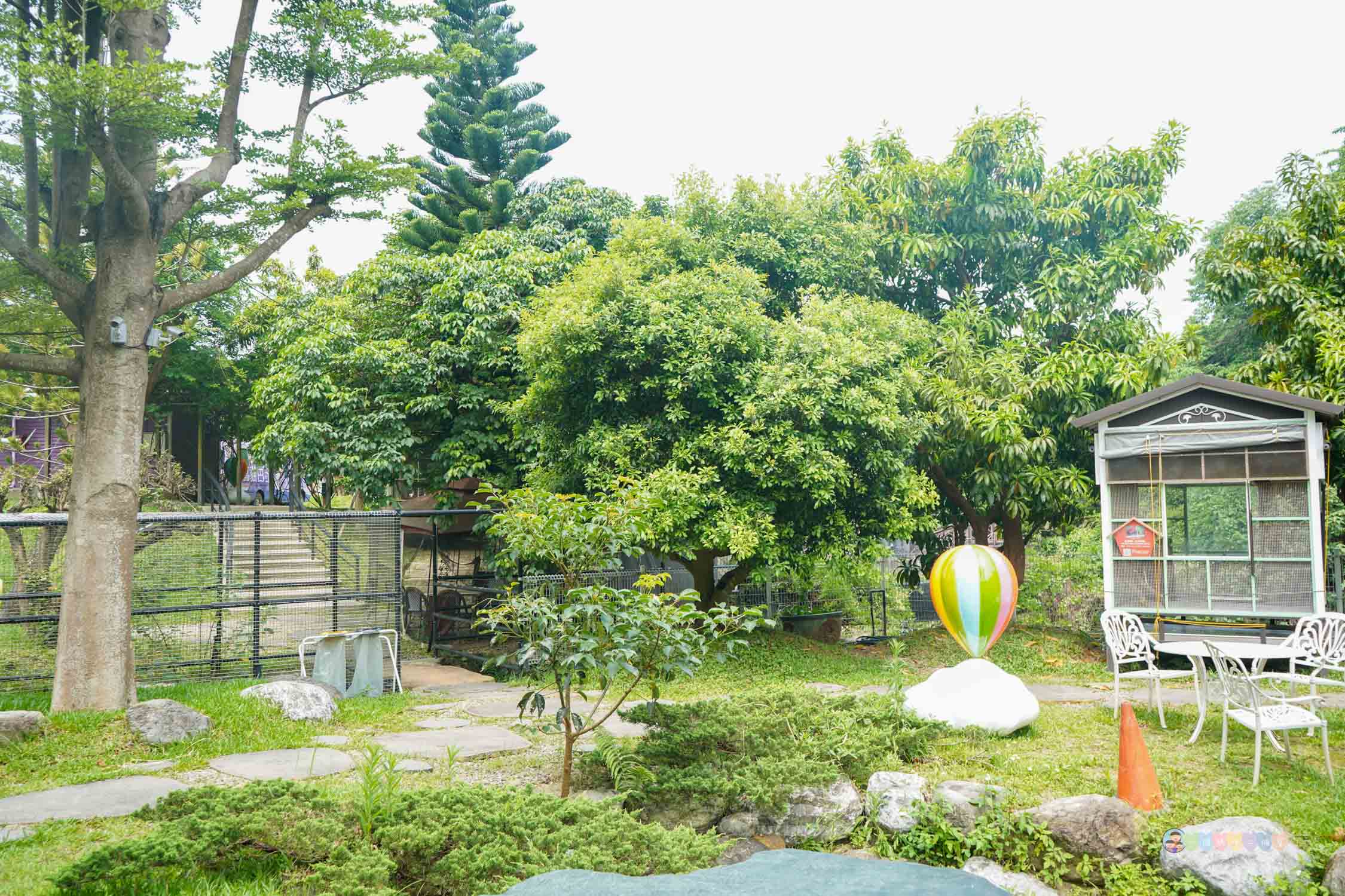 桃園|蘇家莊園》2025門票資訊,萬坪莊園,南法建築風格,小型動物園,各種稀有可愛動物與龍貓巴士。 - 第18張圖