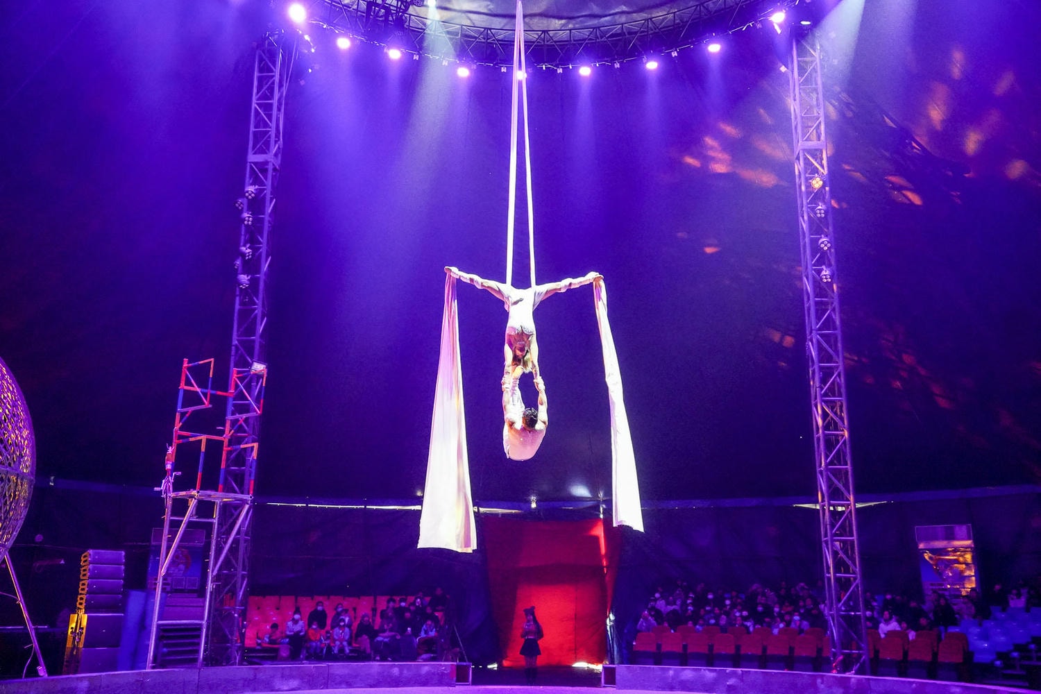 台中|美洲瘋馬夢想大馬戲團》台中一日遊,精彩特技表演、鐵球機車極限飆速秀。 - 第16張圖