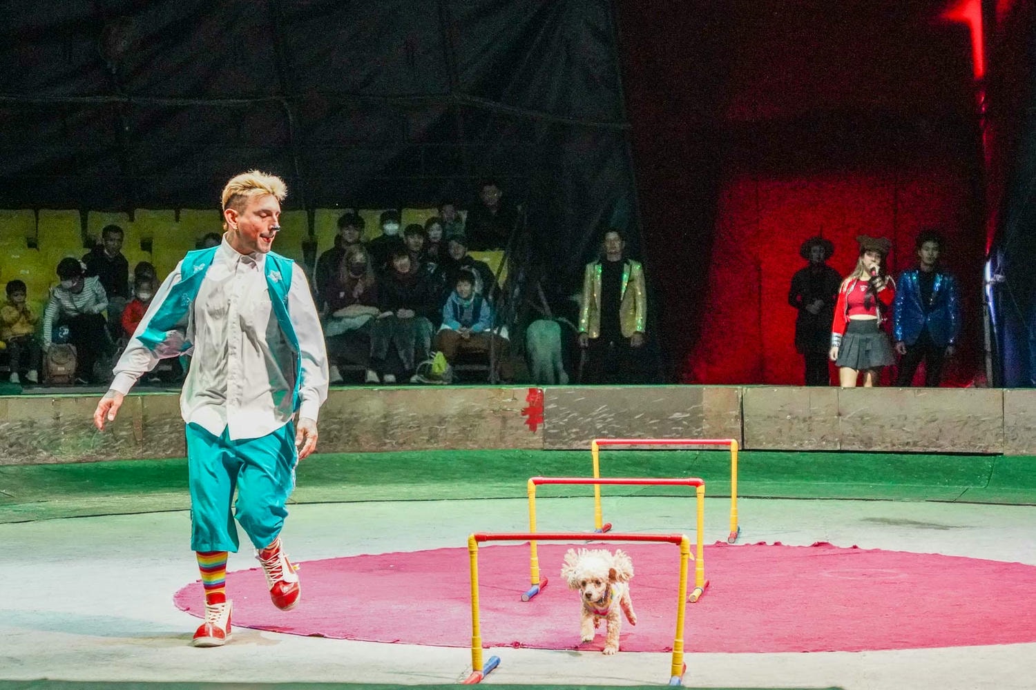 台中|美洲瘋馬夢想大馬戲團》台中一日遊,精彩特技表演、鐵球機車極限飆速秀。 - 第19張圖