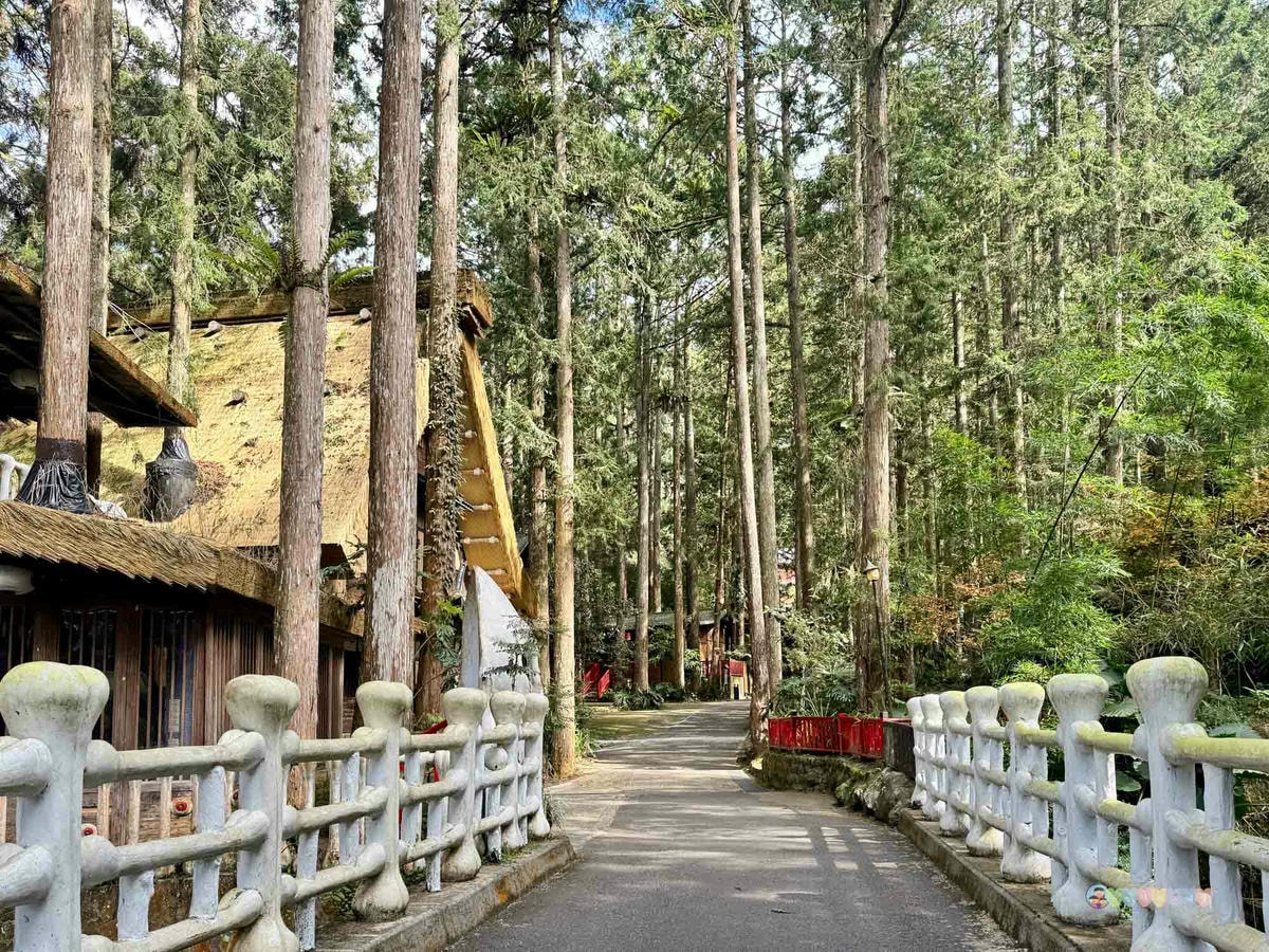南投|明山森林會館》妖怪森林商圈、妖怪村主題飯店二天一夜 - 第48張圖