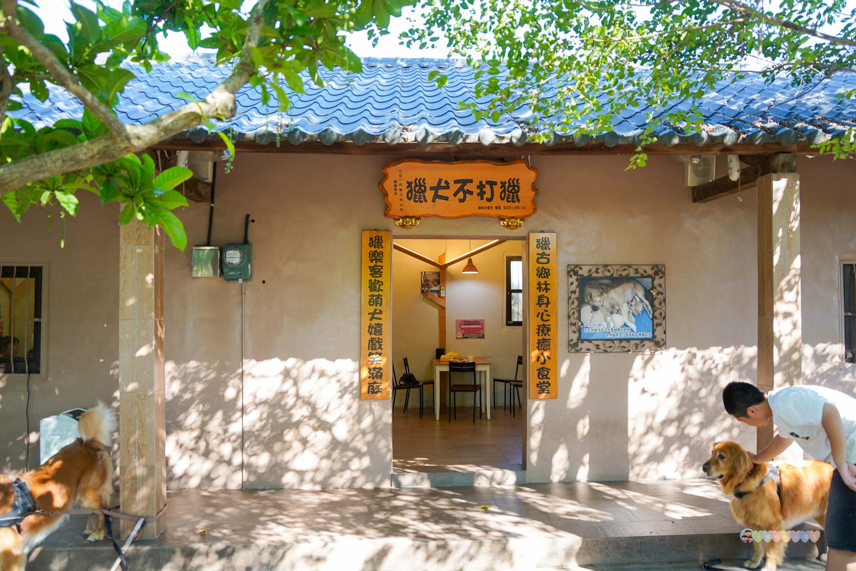 苗栗|獵犬不打獵》苗栗寵物友善餐廳!預約制,全台首間11隻黃金獵犬寵物餐廳,陪伴用餐親密互動。 - 第5張圖 苗栗親子景點推薦
獵犬不打獵
苗栗咖啡廳寵物友善
苗栗遛狗景點
苗栗卓蘭一日遊
狗狗互動體驗營
苗栗森林系咖啡廳
苗栗景點2025
親子旅遊苗栗必去
狗狗陪伴療癒景點