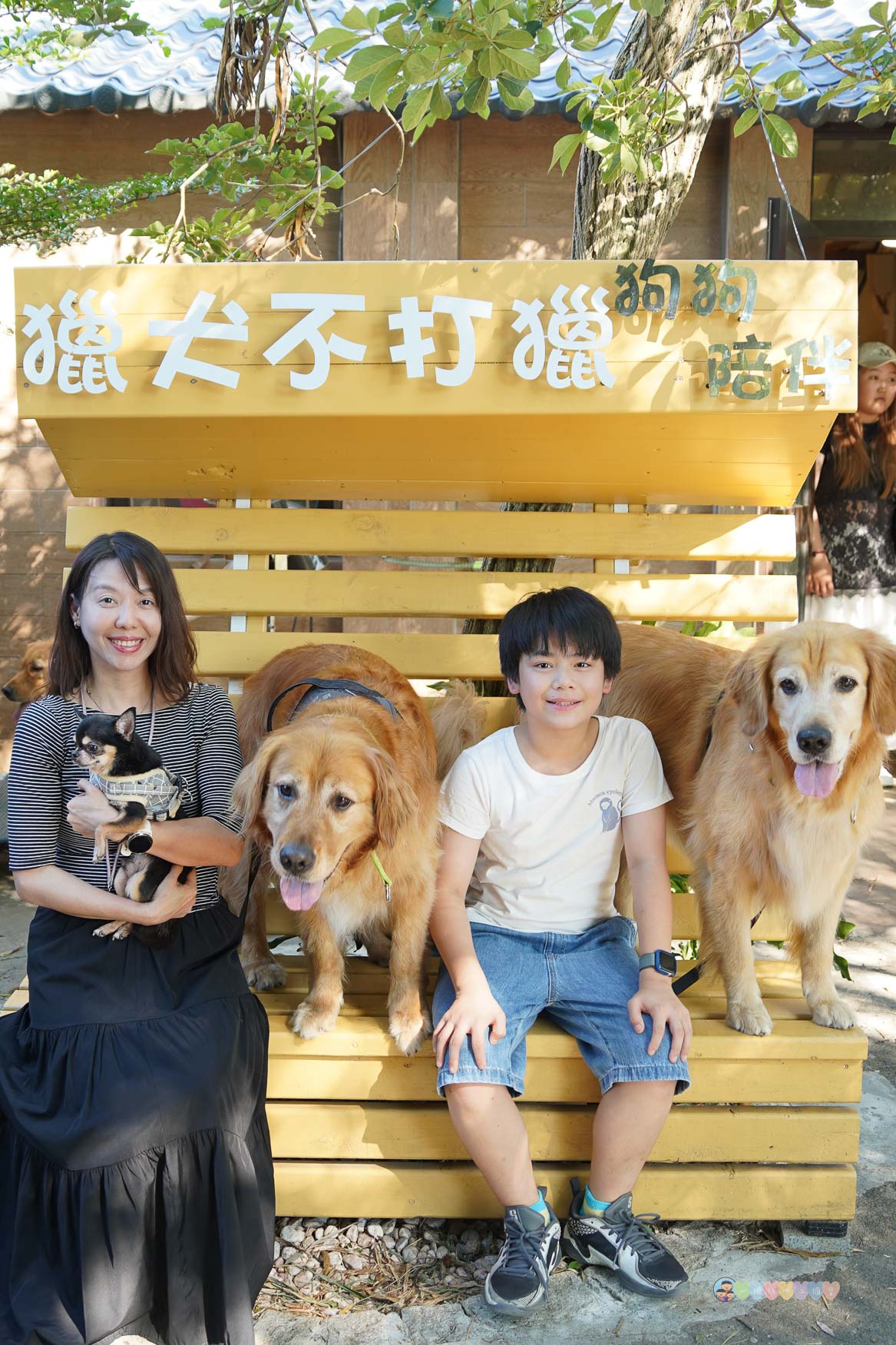 苗栗|獵犬不打獵》苗栗寵物友善餐廳!預約制,全台首間11隻黃金獵犬寵物餐廳,陪伴用餐親密互動。 - 第59張圖 苗栗親子景點推薦
獵犬不打獵
苗栗咖啡廳寵物友善
苗栗遛狗景點
苗栗卓蘭一日遊
狗狗互動體驗營
苗栗森林系咖啡廳
苗栗景點2025
親子旅遊苗栗必去
狗狗陪伴療癒景點