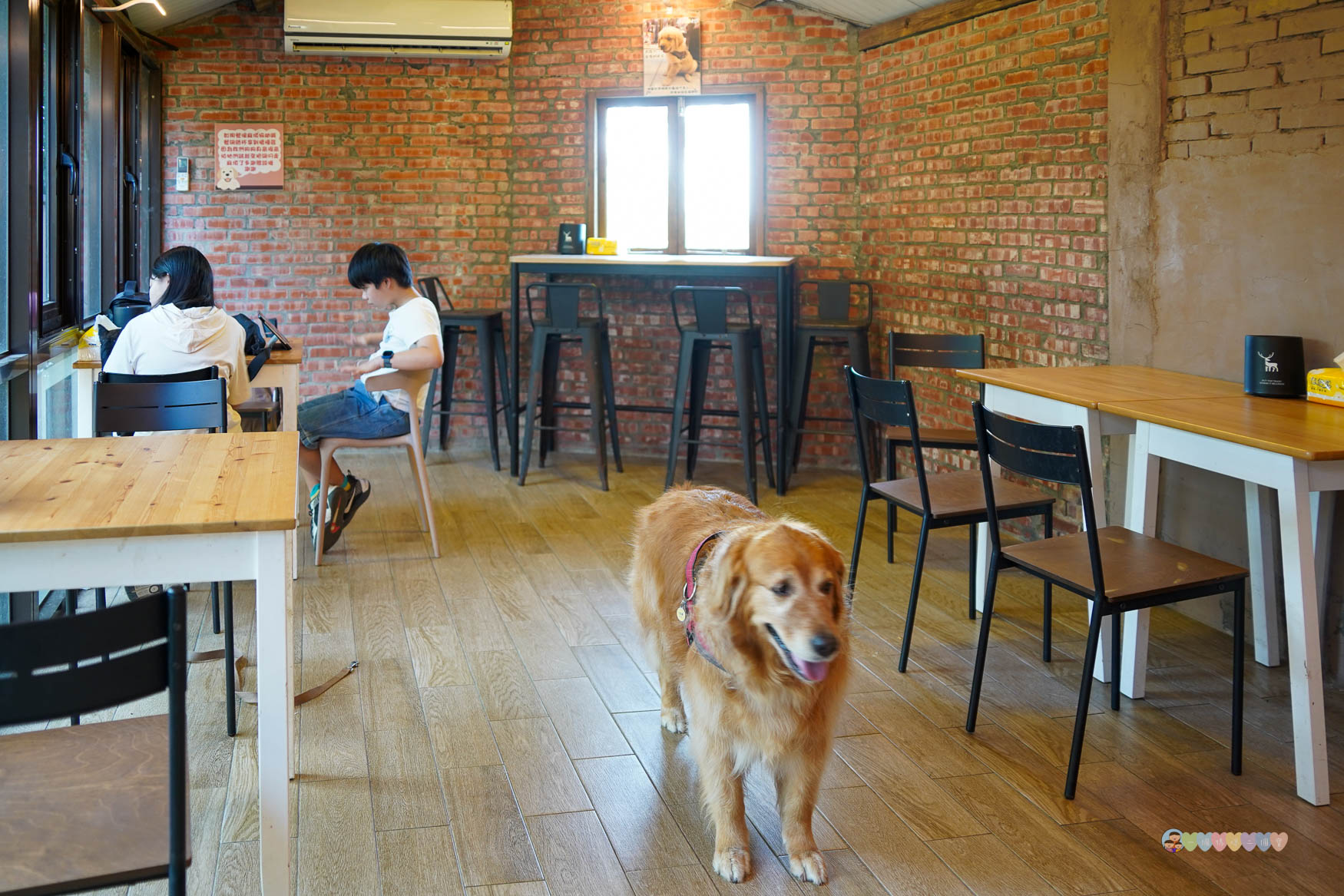 苗栗|獵犬不打獵》苗栗寵物友善餐廳!預約制,全台首間11隻黃金獵犬寵物餐廳,陪伴用餐親密互動。 - 第10張圖 苗栗親子景點推薦
獵犬不打獵
苗栗咖啡廳寵物友善
苗栗遛狗景點
苗栗卓蘭一日遊
狗狗互動體驗營
苗栗森林系咖啡廳
苗栗景點2025
親子旅遊苗栗必去
狗狗陪伴療癒景點