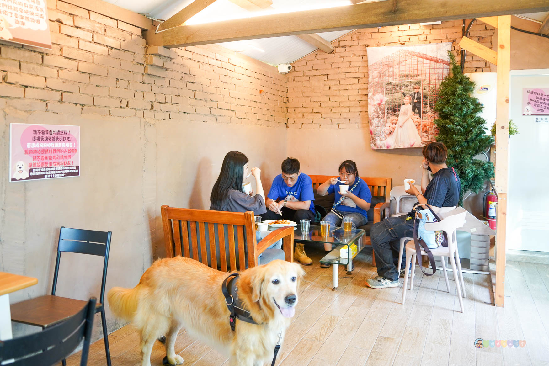 苗栗|獵犬不打獵》苗栗寵物友善餐廳!預約制,全台首間11隻黃金獵犬寵物餐廳,陪伴用餐親密互動。 - 第15張圖 苗栗親子景點推薦
獵犬不打獵
苗栗咖啡廳寵物友善
苗栗遛狗景點
苗栗卓蘭一日遊
狗狗互動體驗營
苗栗森林系咖啡廳
苗栗景點2025
親子旅遊苗栗必去
狗狗陪伴療癒景點