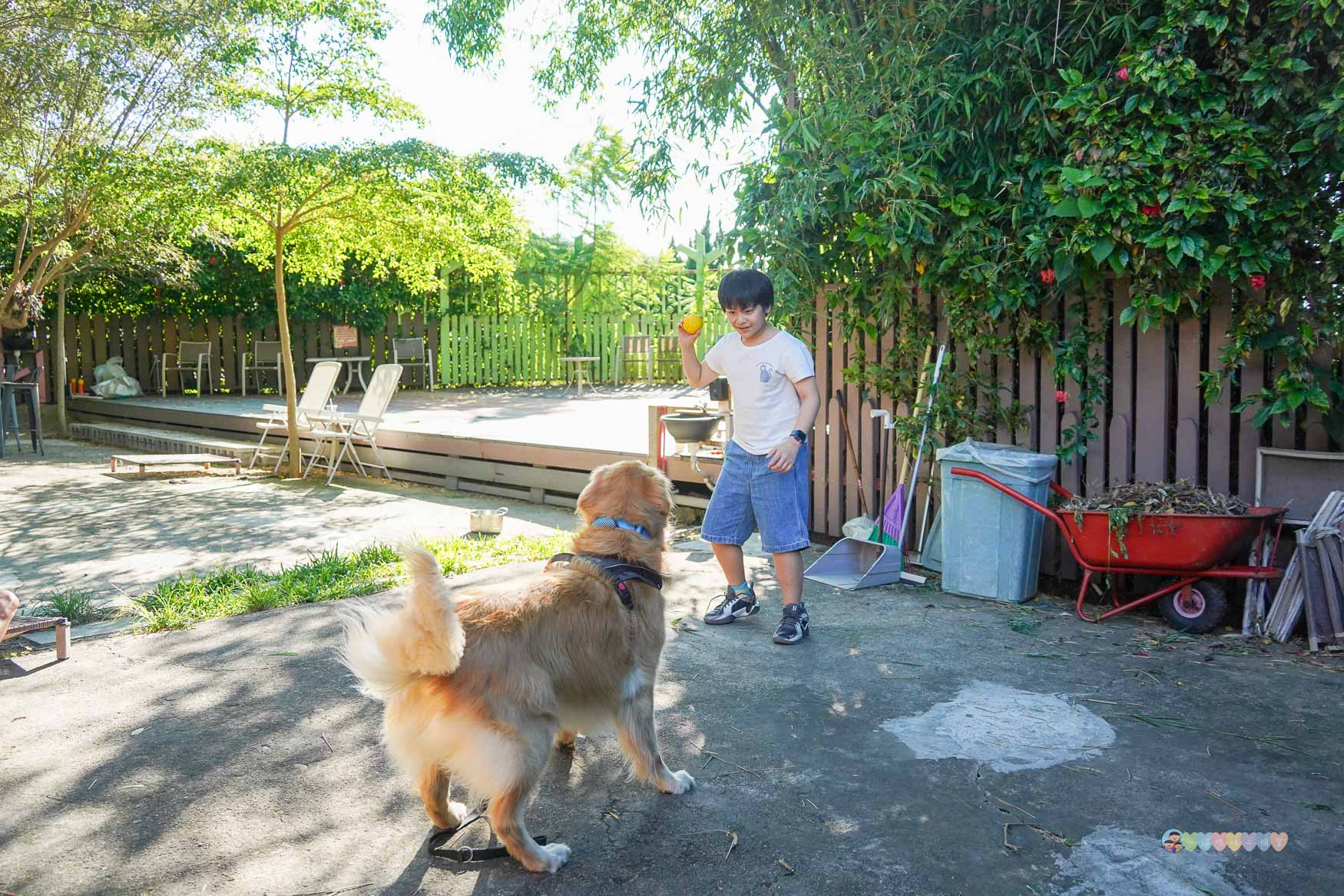 苗栗|獵犬不打獵》苗栗寵物友善餐廳!預約制,全台首間11隻黃金獵犬寵物餐廳,陪伴用餐親密互動。 - 第41張圖 苗栗親子景點推薦
獵犬不打獵
苗栗咖啡廳寵物友善
苗栗遛狗景點
苗栗卓蘭一日遊
狗狗互動體驗營
苗栗森林系咖啡廳
苗栗景點2025
親子旅遊苗栗必去
狗狗陪伴療癒景點