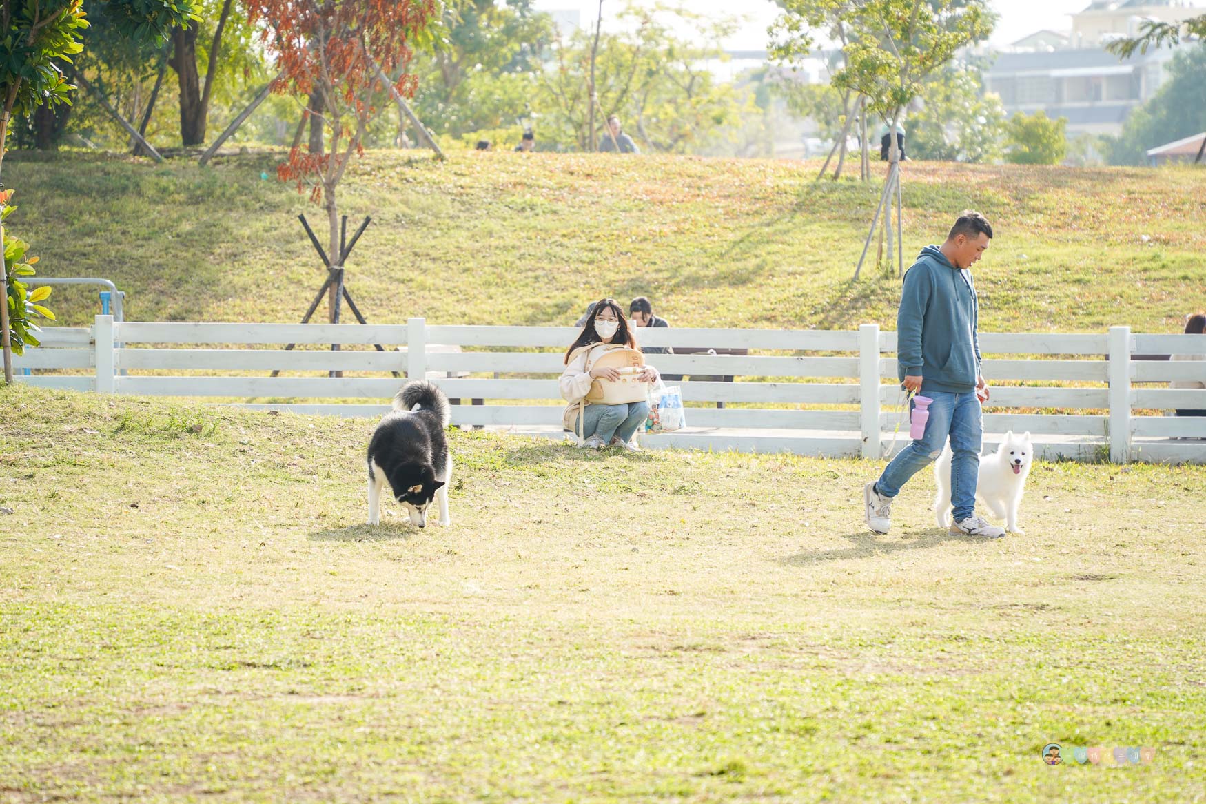 台中|馬卡龍公園》台中親子公園,11公尺高滑梯遊戲塔、寵物友善公園、毛孩放電專區。 - 第58張圖 馬卡龍公園